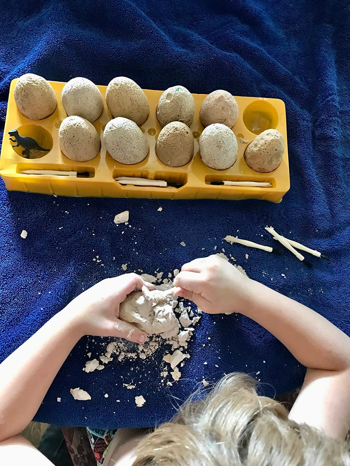 Dig a Dozen Dino Egg Kit for Kids - 12 Eggs & Surprise Dinosaurs customer photo 1