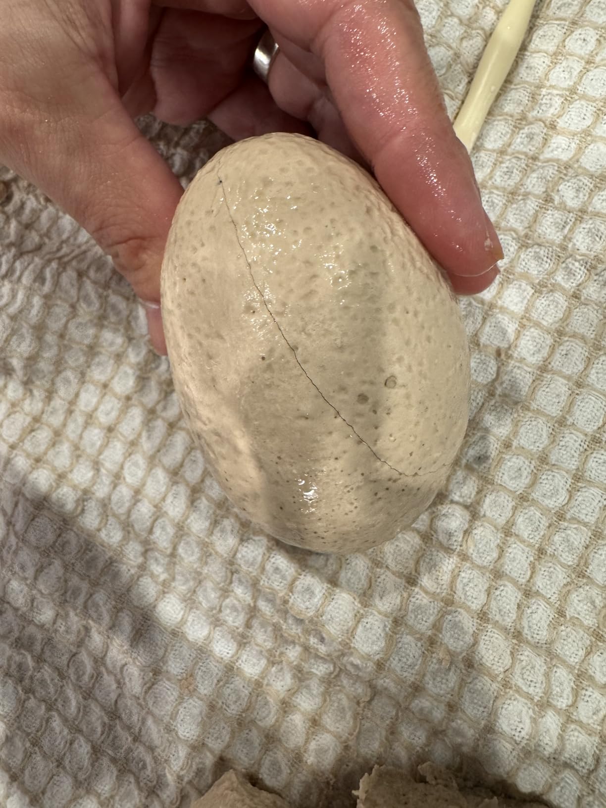 Dig a Dozen Dino Egg Kit for Kids - 12 Eggs & Surprise Dinosaurs customer photo 2