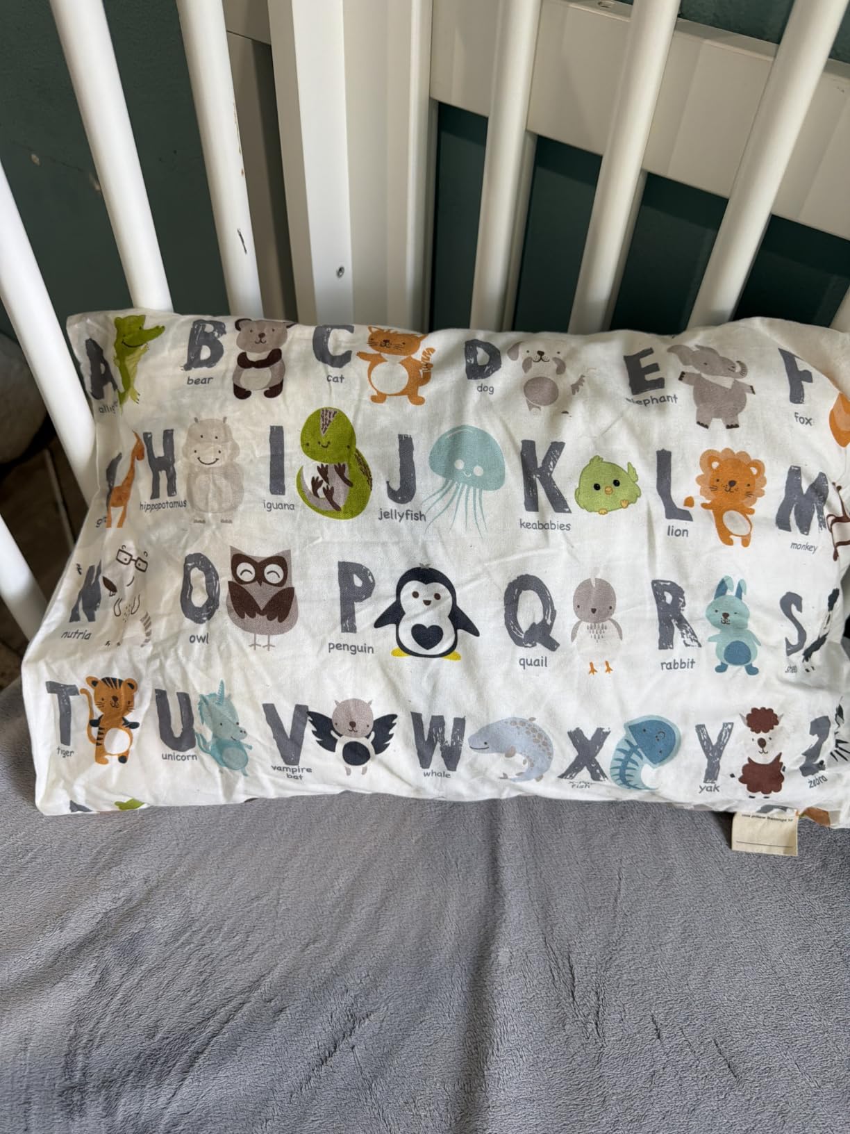 Toddler Pillow with Pillowcase, 13x18 My Little Dreamy Pillow (Soft White) customer photo 1