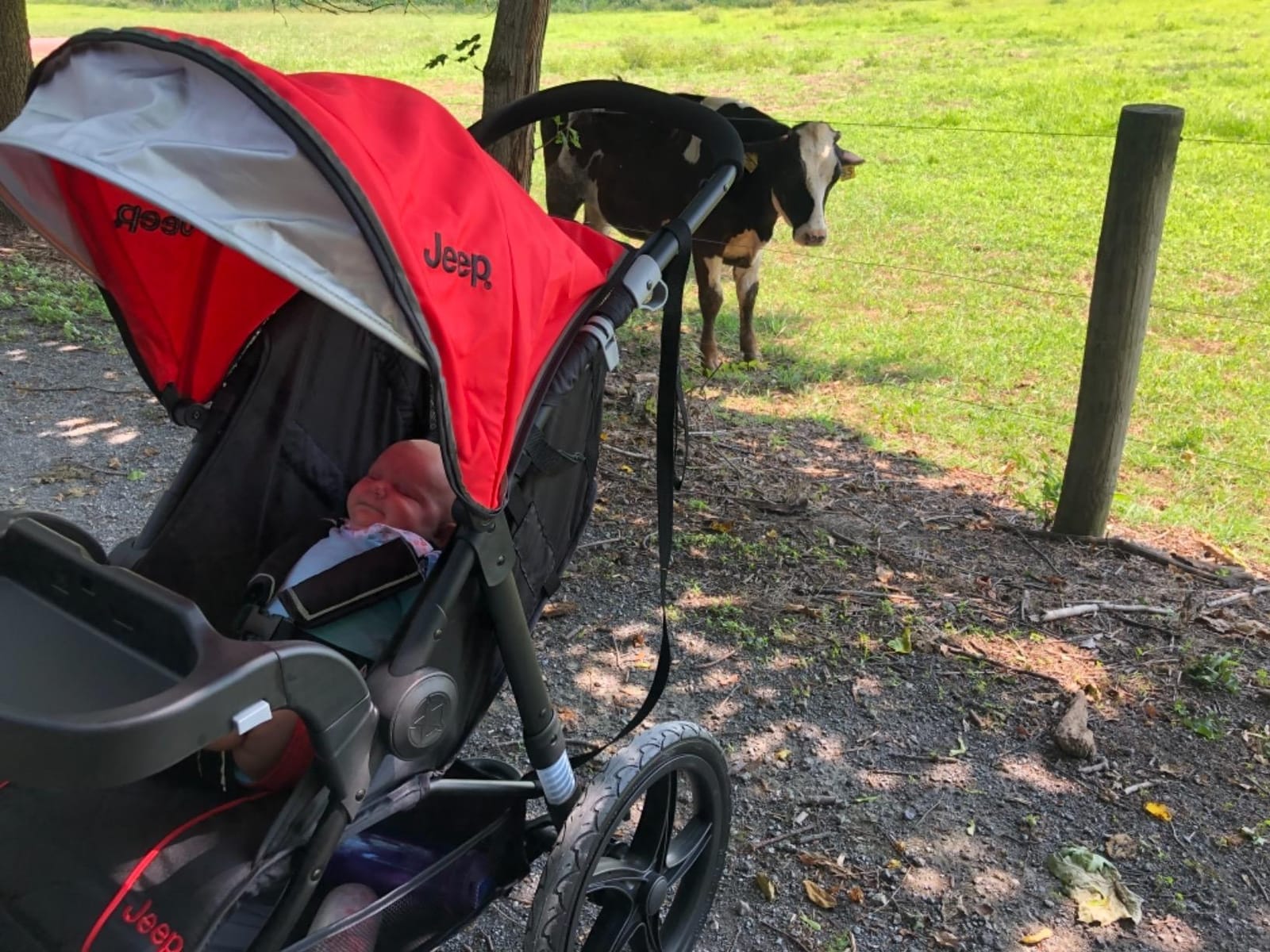 Jeep Classic Jogging Stroller by Delta Children, Grey customer photo 2