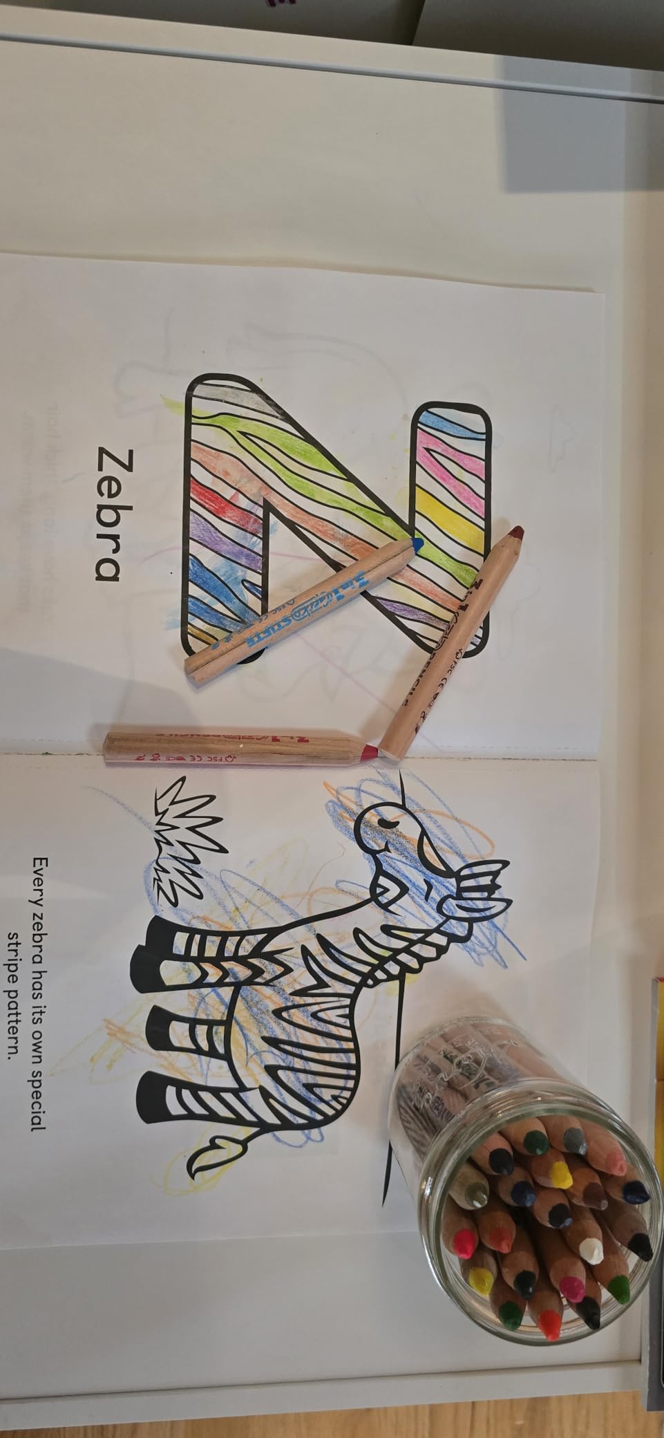 3 In 1 Color Pencil Set for Kids -12 Colored Pencil for Toddlers. Fat Coloring Pencils with Brush and Sharpener - Non-Toxic and Vegan Cute Color Pencils Perfect for Toddler Art Supplies customer photo 2