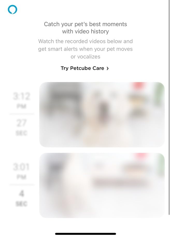 Petcube Play 2 - Wi-Fi Pet Camera with Laser Toy for Cats & Dogs customer photo 1