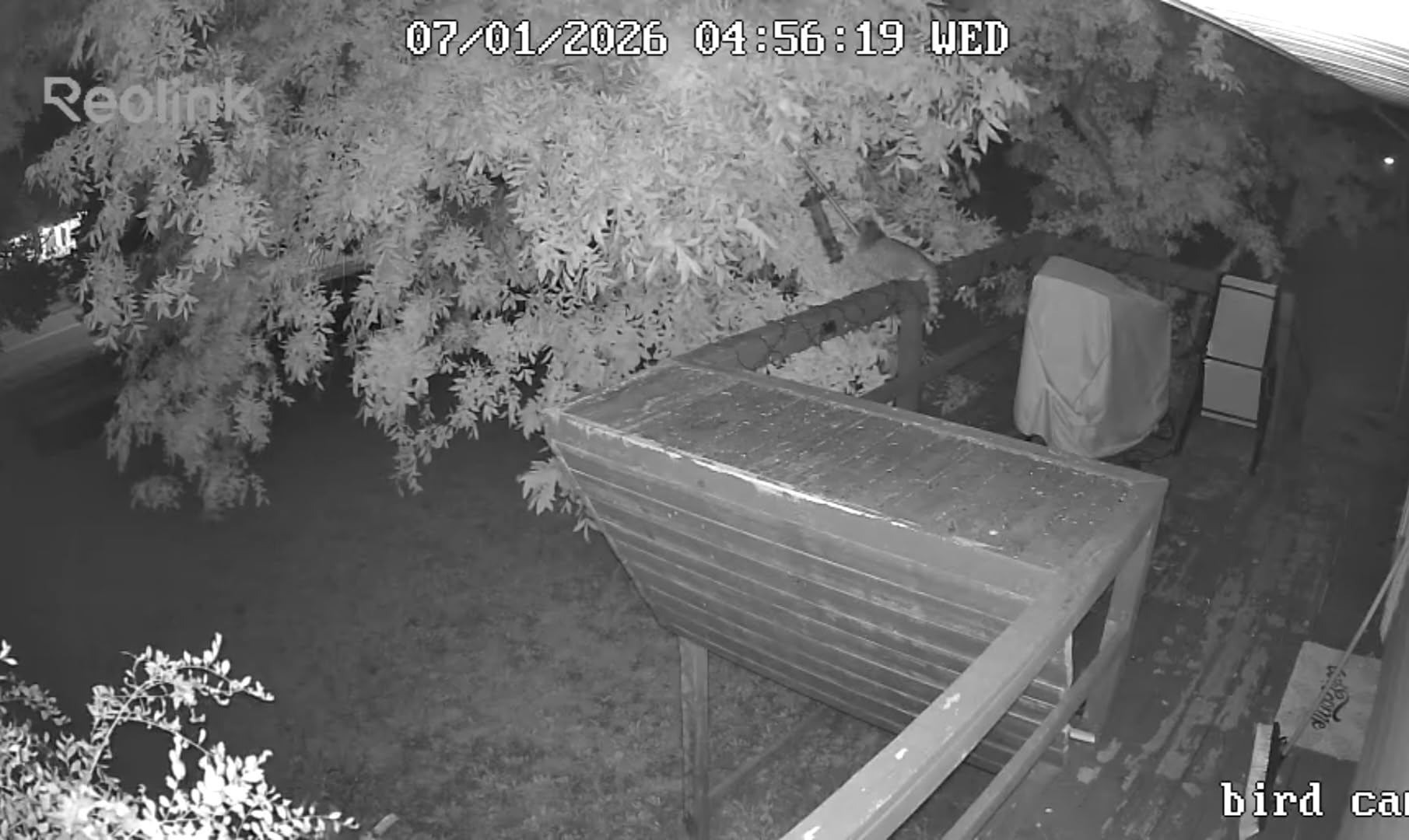 REOLINK Solar Security Cameras Wireless Outdoor 360° Coverage Argus PT customer photo 1