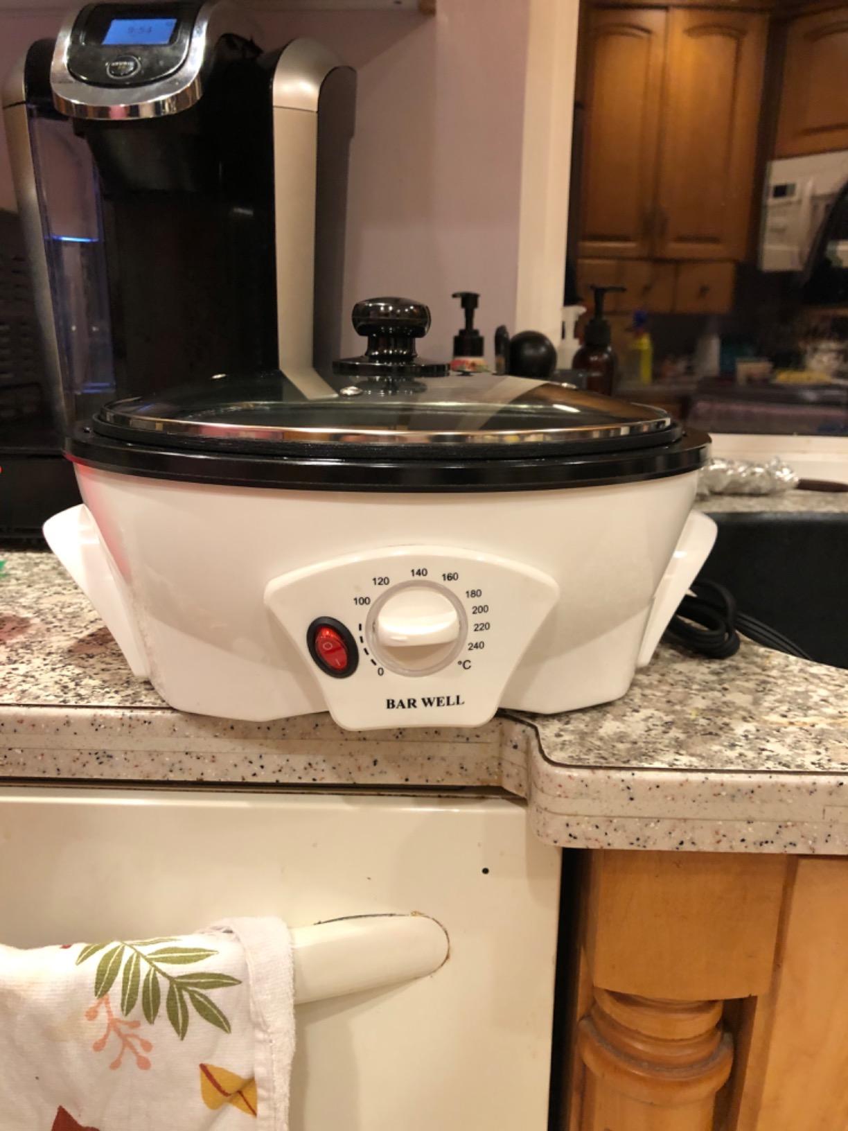 LUEUR Electric Coffee Roasters For Home Use,Coffee Bean Roaster Machine Coffee Bean Roaster For Stovetop, Countertop, Commercial Coffee Bean Roasting Machine 110V customer photo 2