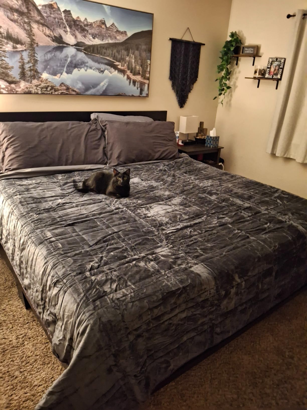 OMYSTYLE Queen Size Weighted Blanket 80''x87''(30lbs, Double-Sided), Warm Short Plush and Cool Tencel Fabric Reversible Weighted Blanket for Adult - Carry Bag Included customer photo 1