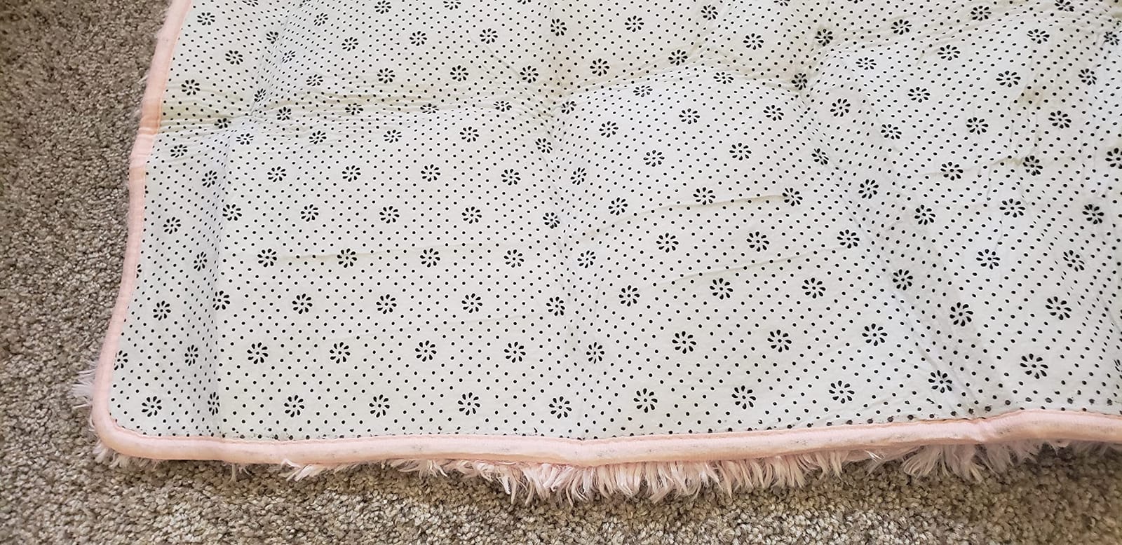 Ultra Soft Pink Rugs for Bedroom 4x6 Feet, Fluffy Shag Area Rugs for Living Room, Large Comfy Furry Rug for Girls Kids Baby Room Decor, Non Slip Nursery Modern Indoor Fuzzy Floor Carpet customer photo 2