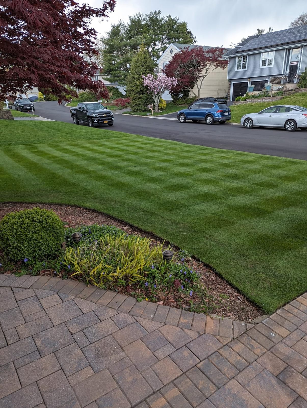 Soft Soil by GS Plant Foods- Liquid Aerator and Lawn Treatment(1 Quart) - Liquid Aerator for Any Grass Type, All Season - Great for Compact Soils, Standing Water, Poor Drainage customer photo 1