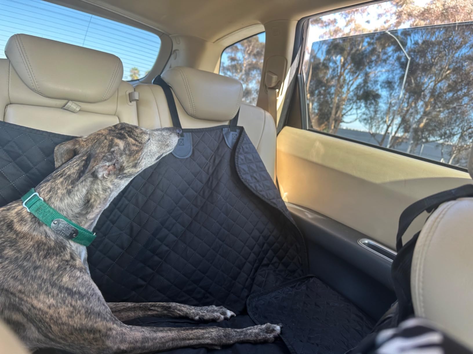 Vailge Dog Car Seat Cover for Back Seat, 100% Waterproof Back Seat Pet Cover for Dogs with Mesh Window, Scratch Prevent Antinslip Dog Hammock for Car customer photo 1