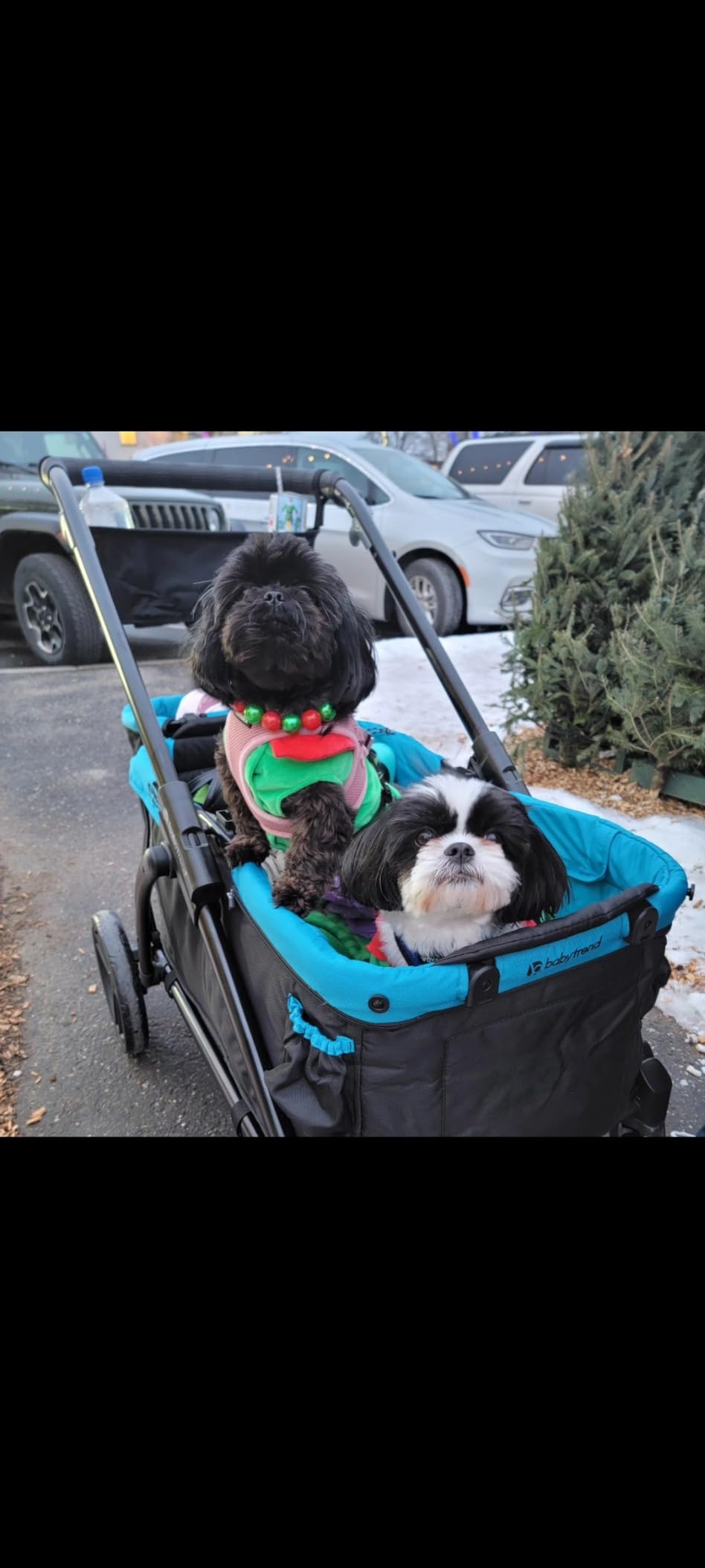 Baby Trend Expedition 2-in-1 Stroller Wagon Plus, Ultra Marine customer photo 1