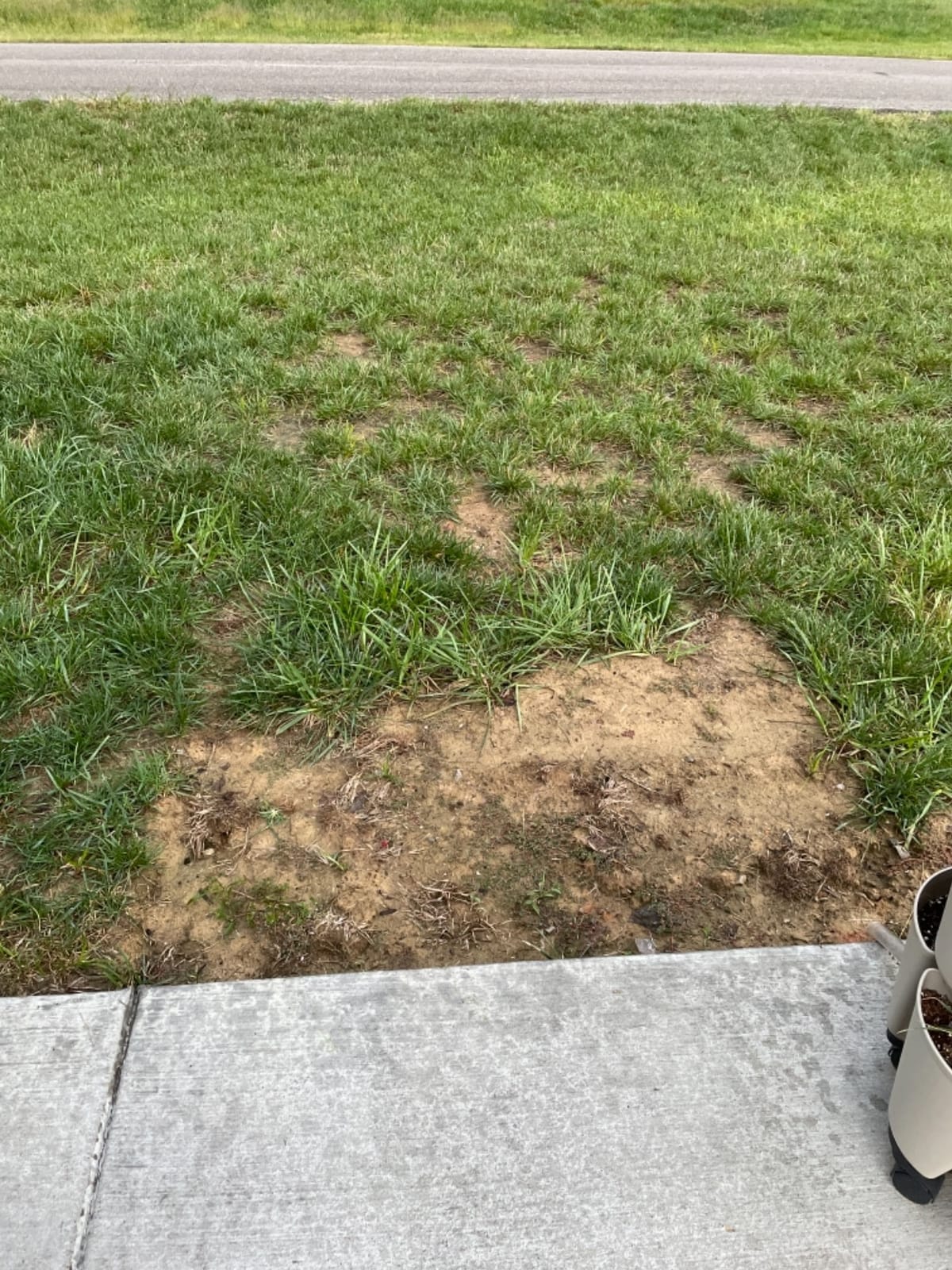 Covington Liquid Lawn Aerator (32oz) – Soil Conditioner & Softener for Lawns & Gardens – Loosens Clay & Compacted Soil for Better Water & Nutrient Absorption – Liquid Aeration Concentrate, Made in USA customer photo 2