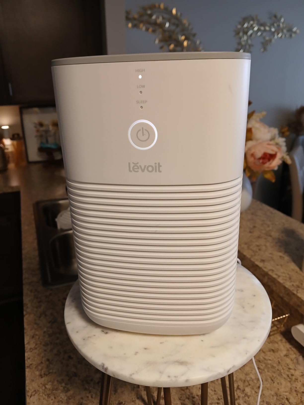 Levoit Air Purifiers for Home Bedroom Dorm Room customer photo 2