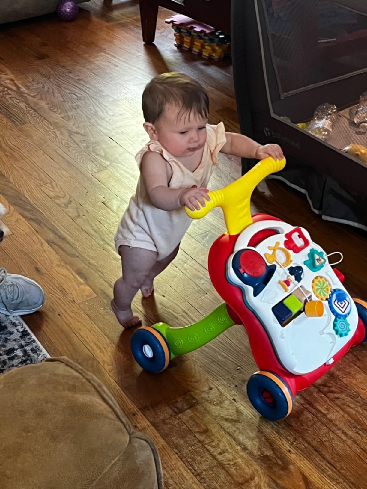 CUTE STONE Sit to Stand Learning Walker, 2 in 1 Baby Push Walker, Early Educational Child Activity Center, Multifunctional Removable Play Panel, Baby Music Learning Toy Gift for Infant Boys Girls customer photo 1