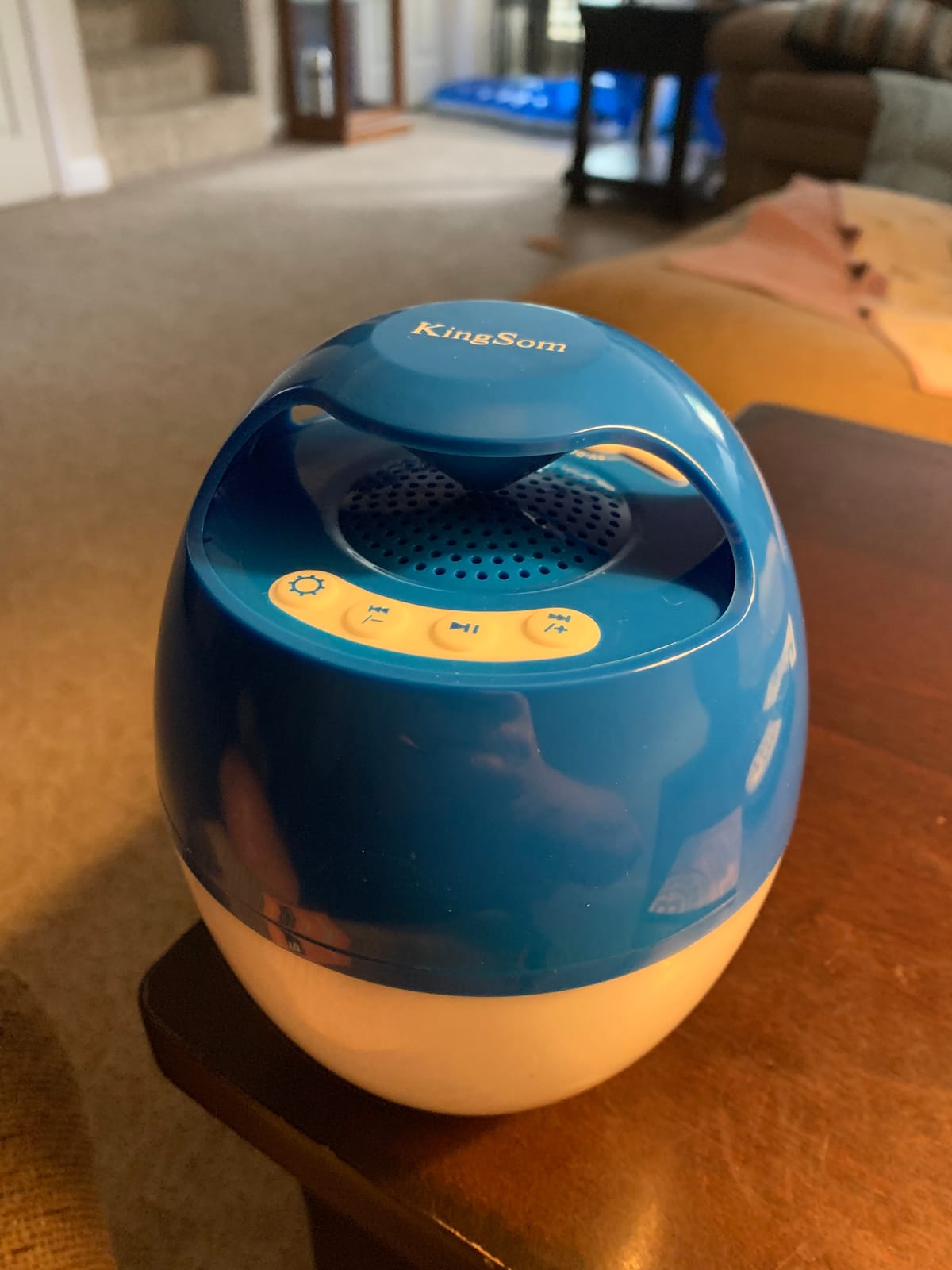 KingSom Portable Bluetooth Pool Speakers with Colorful Lights customer photo 2