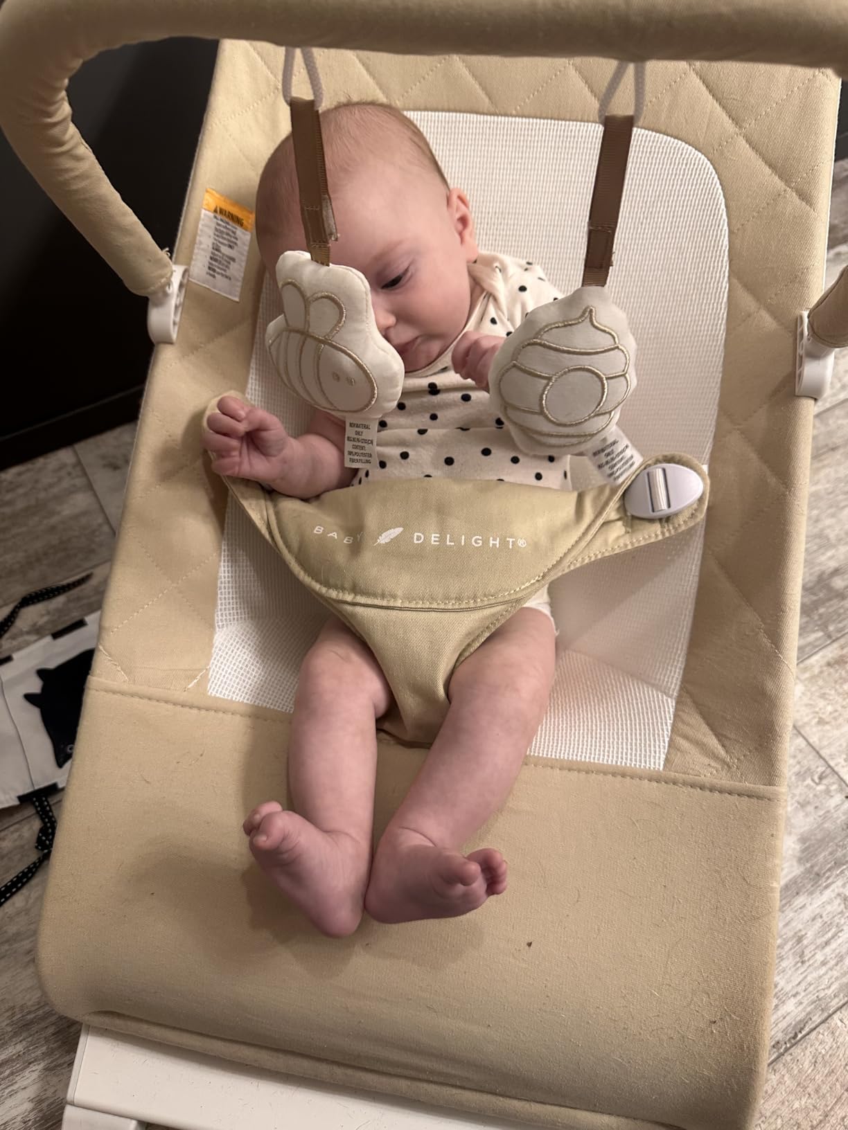 Baby Delight Alpine Deluxe Portable Bouncer, Infant, 0-6 Months, 100% GOTS Certified Cotton Fabrics, Organic Oat customer photo 1