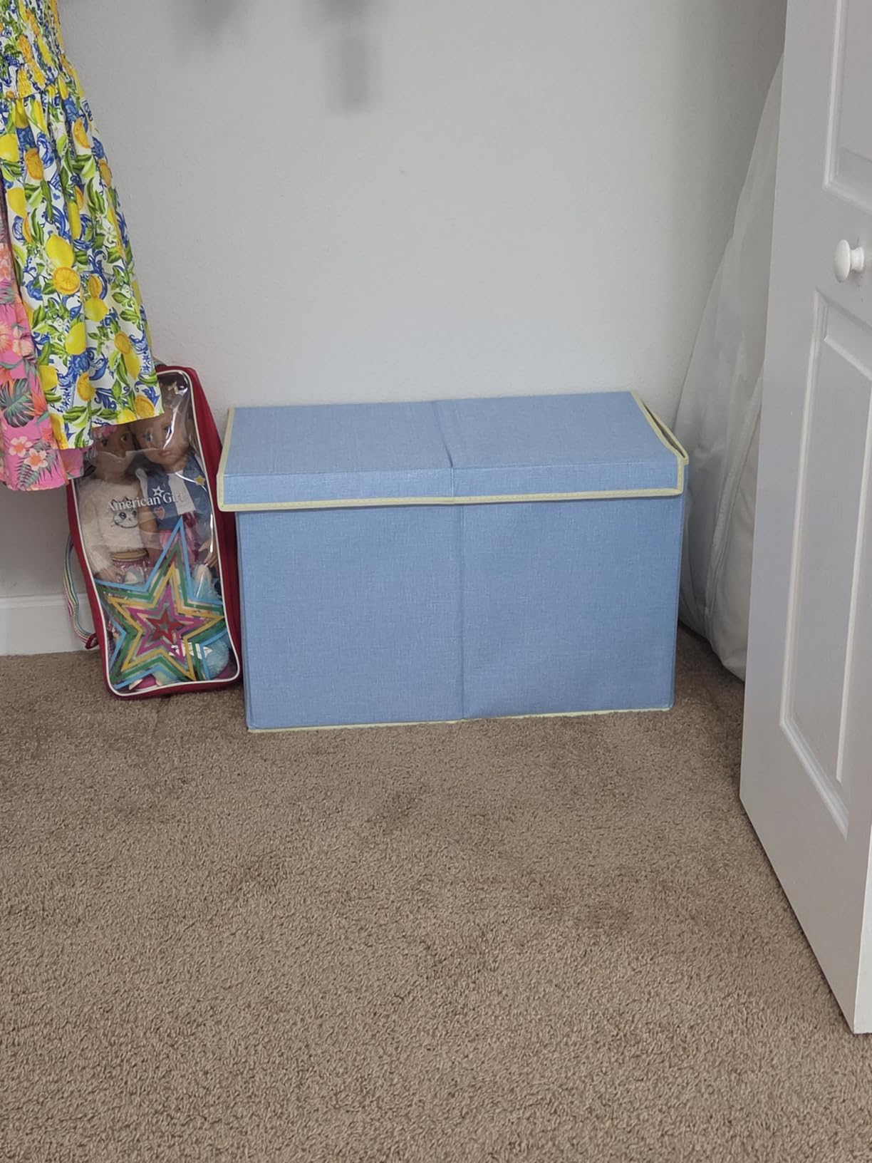 Large Toy Box Chest Storage with Flip-Top Lid, Kids Toy Storage Bin Boxes customer photo 2
