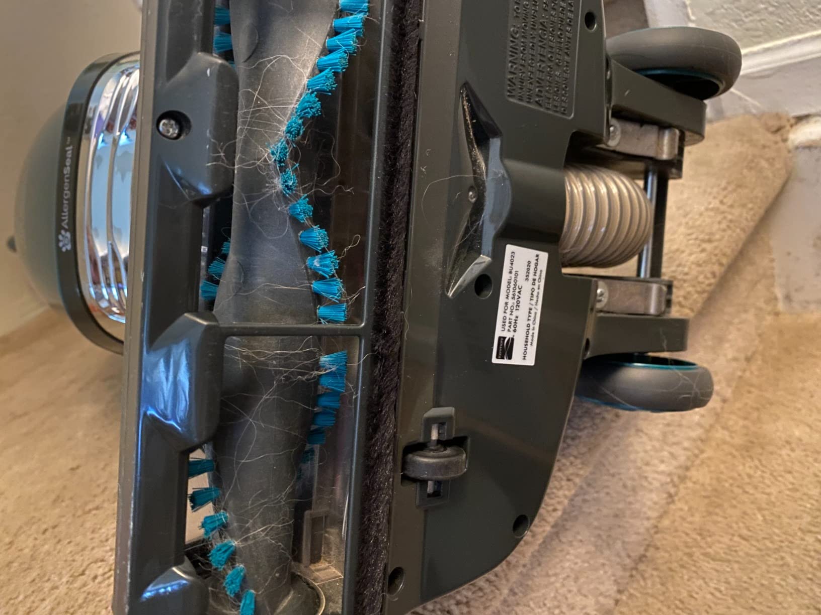 Kenmore Intuition Bagged Upright Vacuum with Hair Eliminator Brushroll customer photo 1