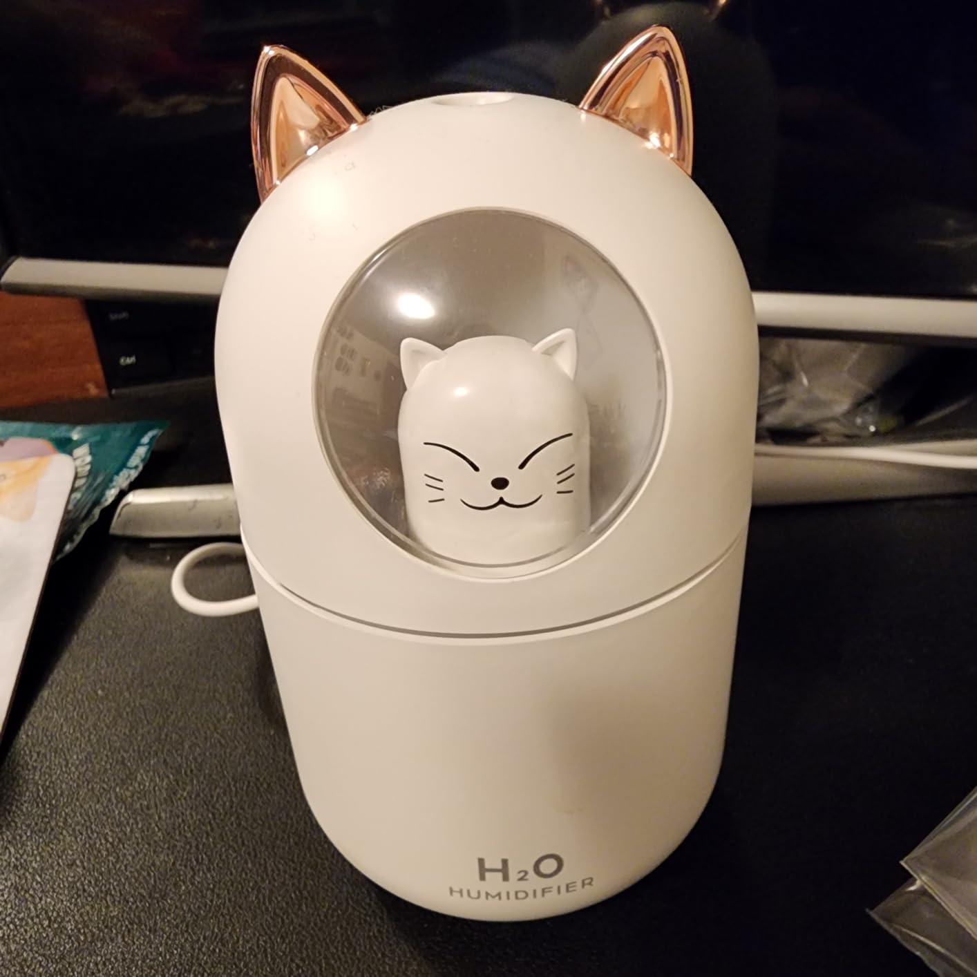 Cool Mist Humidifier,300ml Mini Humidifiers with Night Light,Waterless Auto-Off Air Humidifier,20dB Quiet Humidifiers for Bedroom,Car, Plant for Girl Boy customer photo 1
