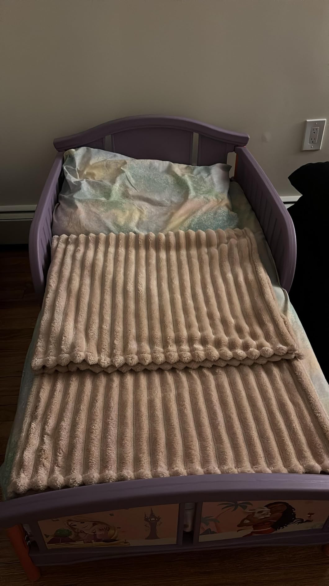 Delta Children Plastic Toddler Bed, Disney Princess customer photo 1