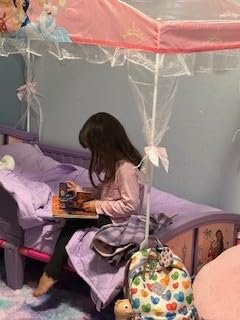 Delta Children Canopy Toddler Bed, Disney Princess customer photo 1