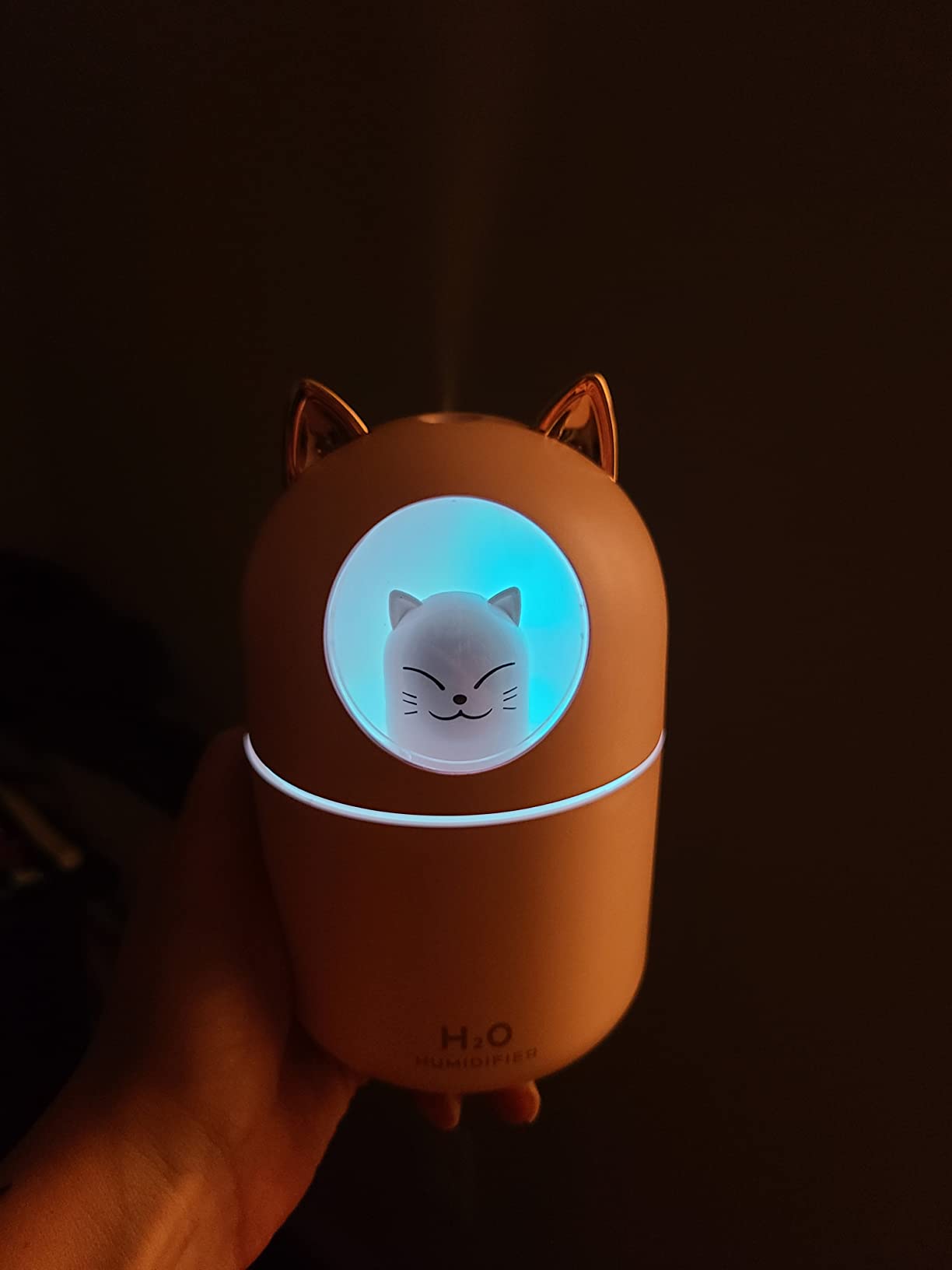 Portable Small Humidifier, 300ml Mini Cool Mist Humidifier with Night Light, USB Personal Humidifier Auto Shut-Off, Ultra-Quiet, 2 Spray Modes, Suitable for Home Office Travel(white) customer photo 2