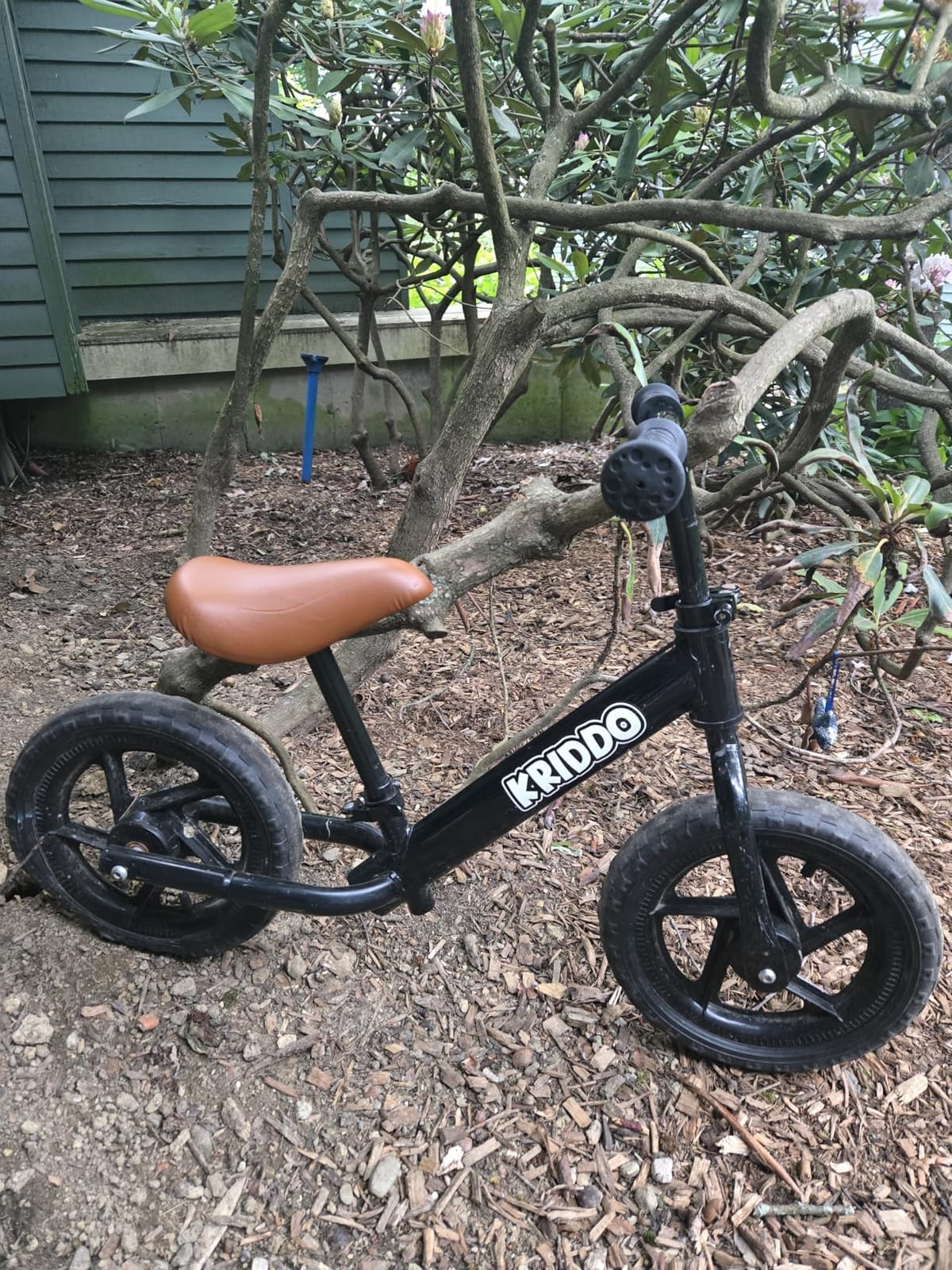 KRIDDO Toddler Balance Bike 2 Year Old, Gift for 2-3 Boys Girls, Adjustable customer photo 1