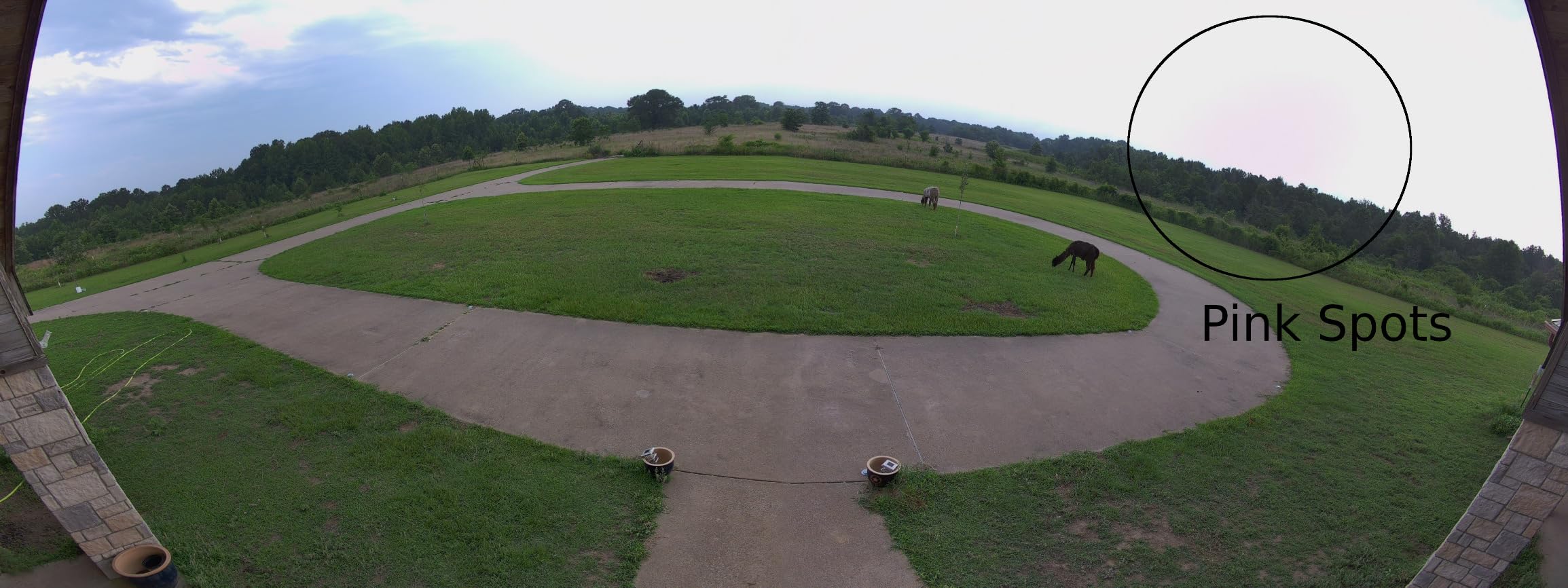 REOLINK Duo 2 PoE 4K Dual-Lens PoE Security Camera in 180 Degree Angle customer photo 2