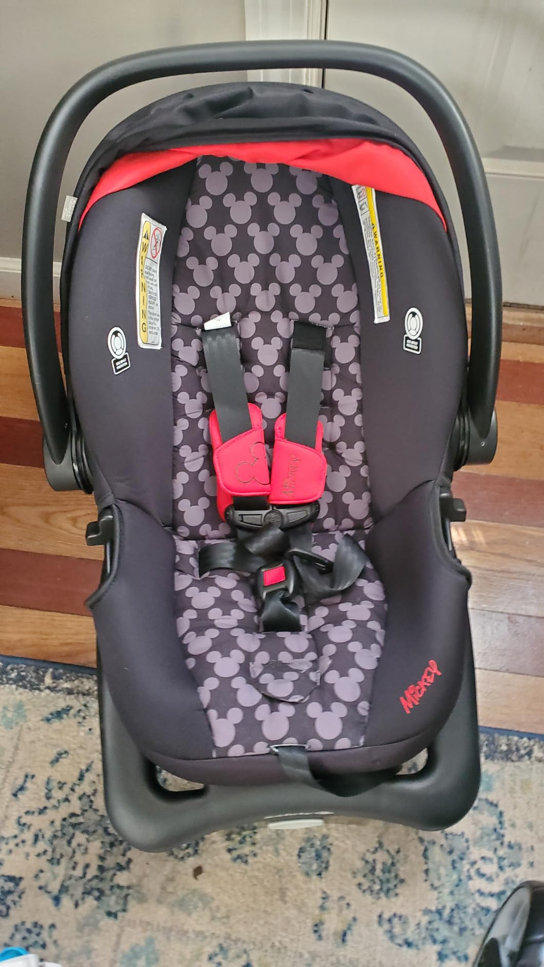 Disney Baby Minnie Mouse Grow and Go Modular Travel System, Simply Minnie customer photo 1