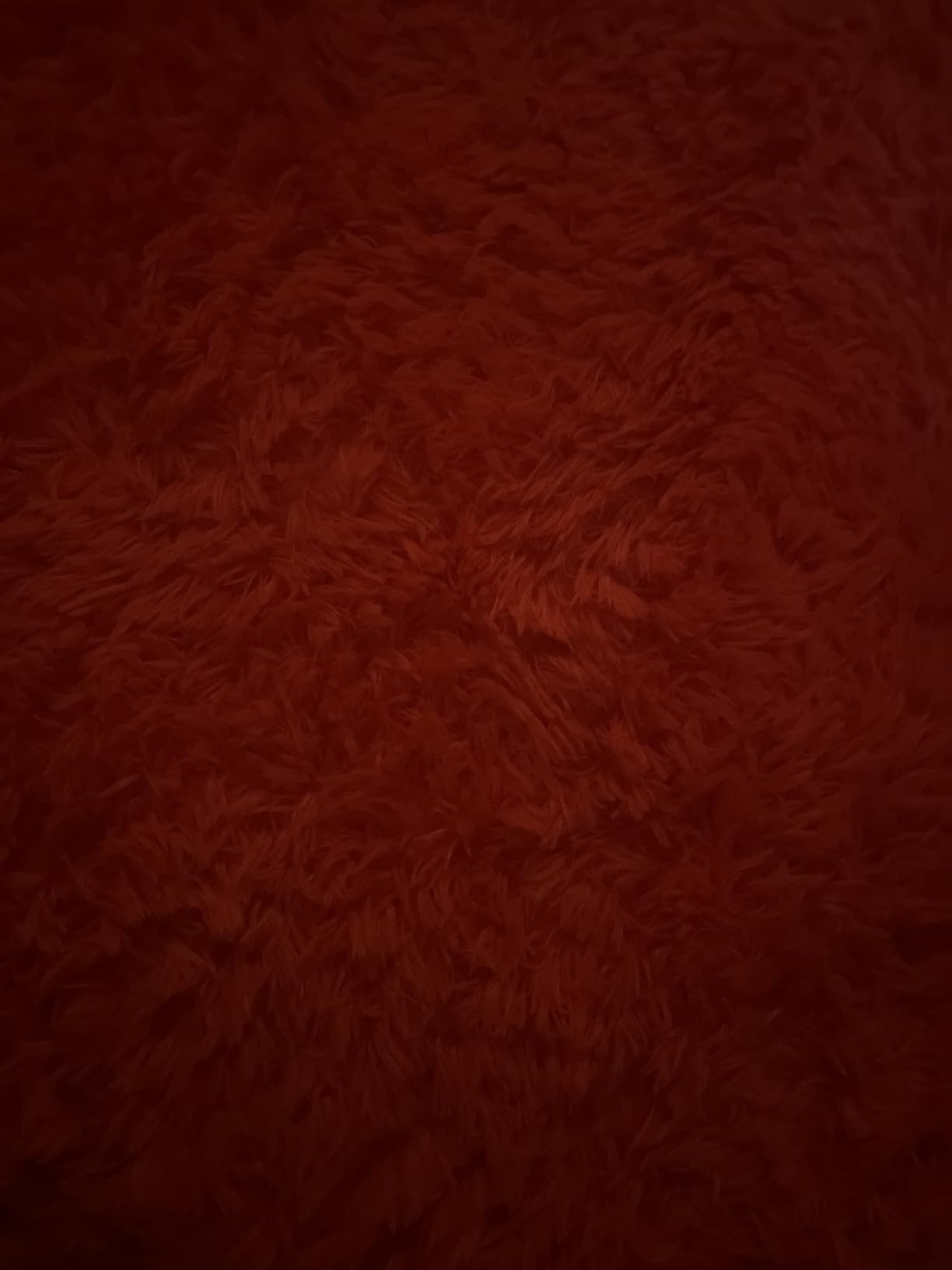 Merelax Soft Modern Indoor Shaggy Area Rug for Bedroom Livingroom Dorm Kids Room Home Decorative, Non-Slip Plush Fluffy Furry Fur Rugs Comfy Nursery Accent Floor Carpet 3x5 Feet, Baby Blue customer photo 2