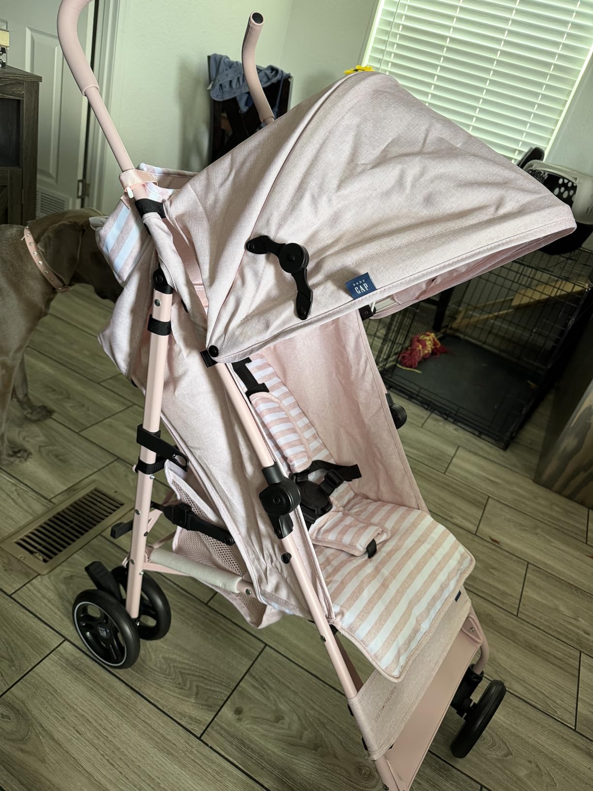 babyGap Classic Stroller - Lightweight Stroller with Recline, Compact Fold & Removable Parent Organizer - Made with Sustainable Materials, Pink Stripes customer photo 2