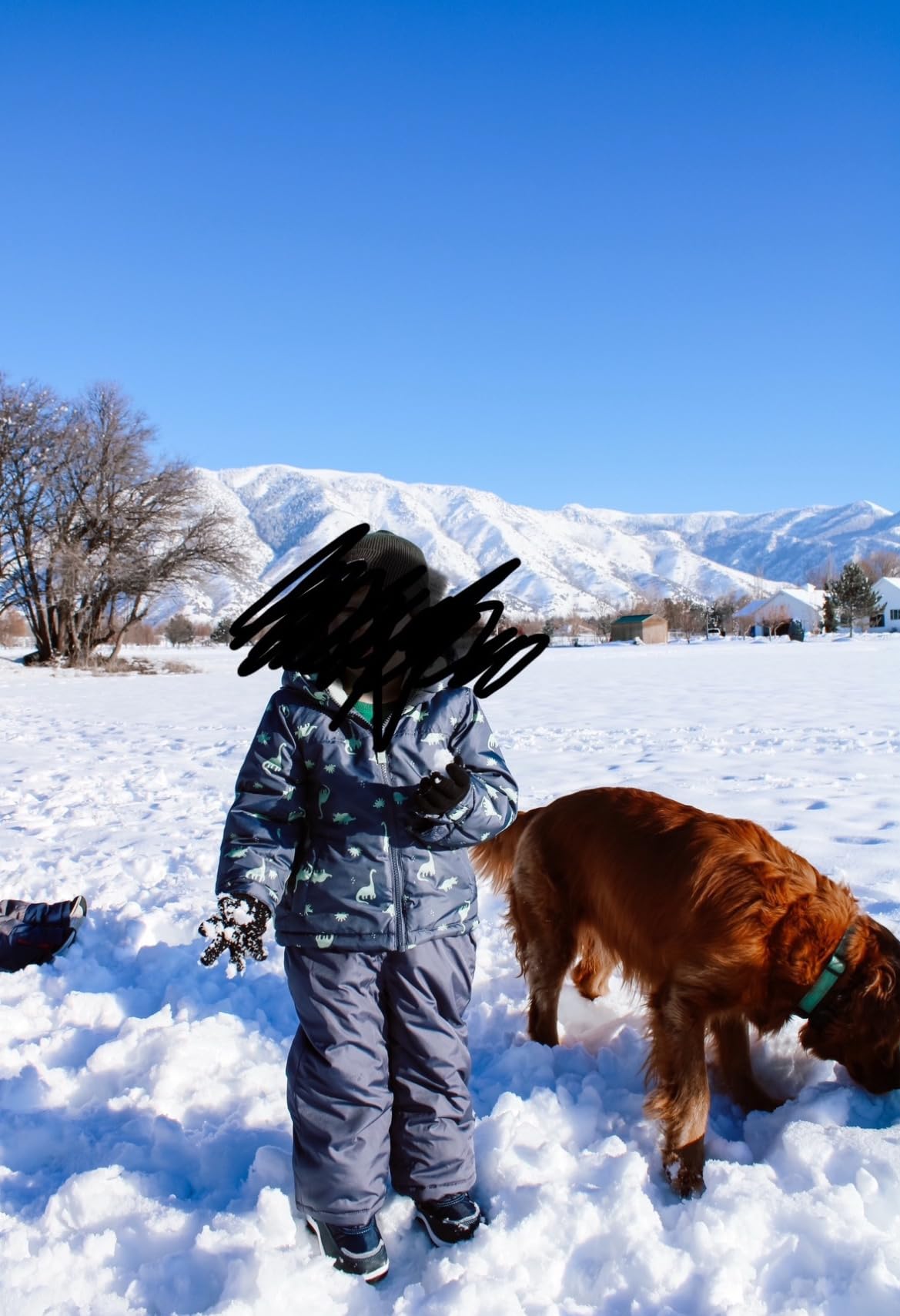 Simple Joys by Carter's Boys' 2-piece Snowsuit Set Winter Jacket and Skibib Pants customer photo 1