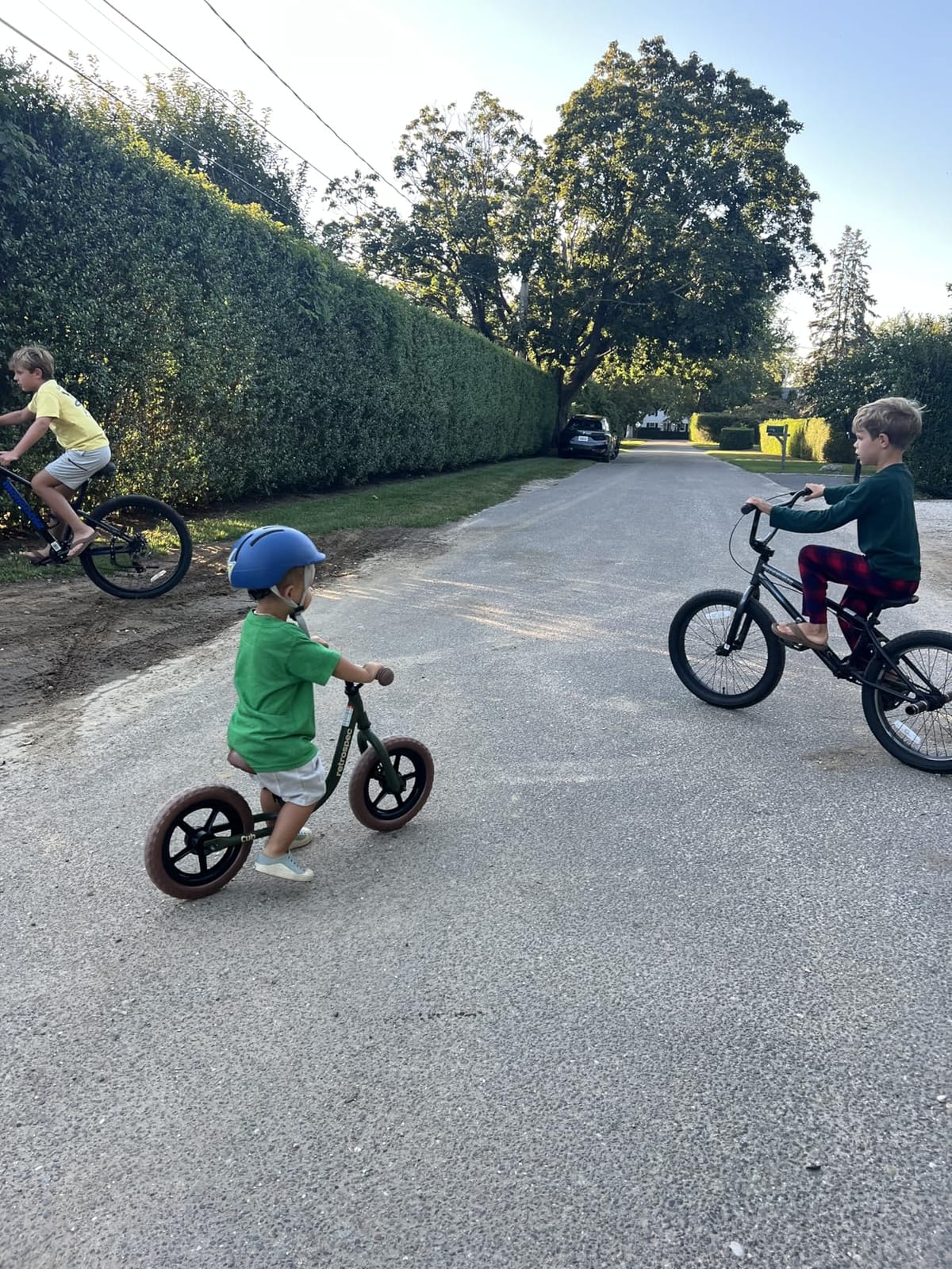 Retrospec Cub Toddler Balance Bike for Ages 18 Months - 3 Years - 12in No-Pedal Beginner Bicycle with Adjustable Seat, Puncture-Proof Tires & Safe Low Frame Design customer photo 2