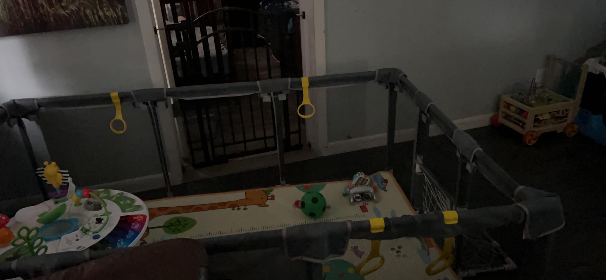 Magnelogy Large Baby Playpen with Foldable Mat - 71