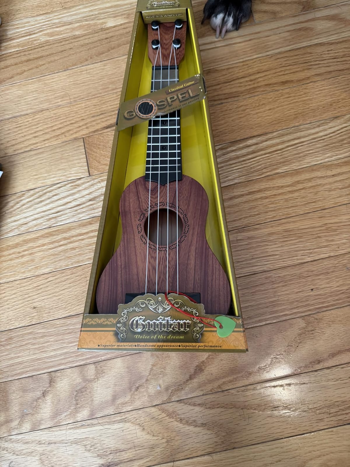 Raimy 17in Kids Ukulele Mini Guitar with Picks for Toddler Boys Girls customer photo 1
