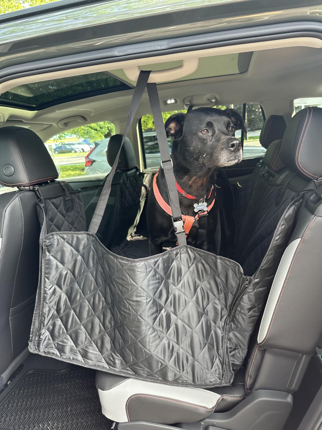 URPOWER Back Seat Extender for Dogs, Large Hard Bottom Dog Car Seat Cover customer photo 1