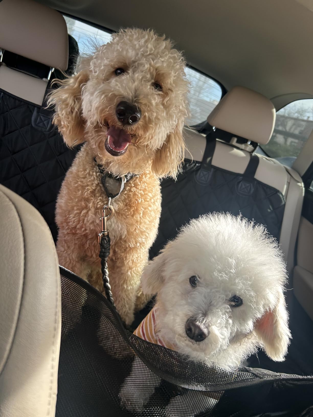 URPOWER Back Seat Extender for Dogs, Large Hard Bottom Dog Car Seat Cover customer photo 2