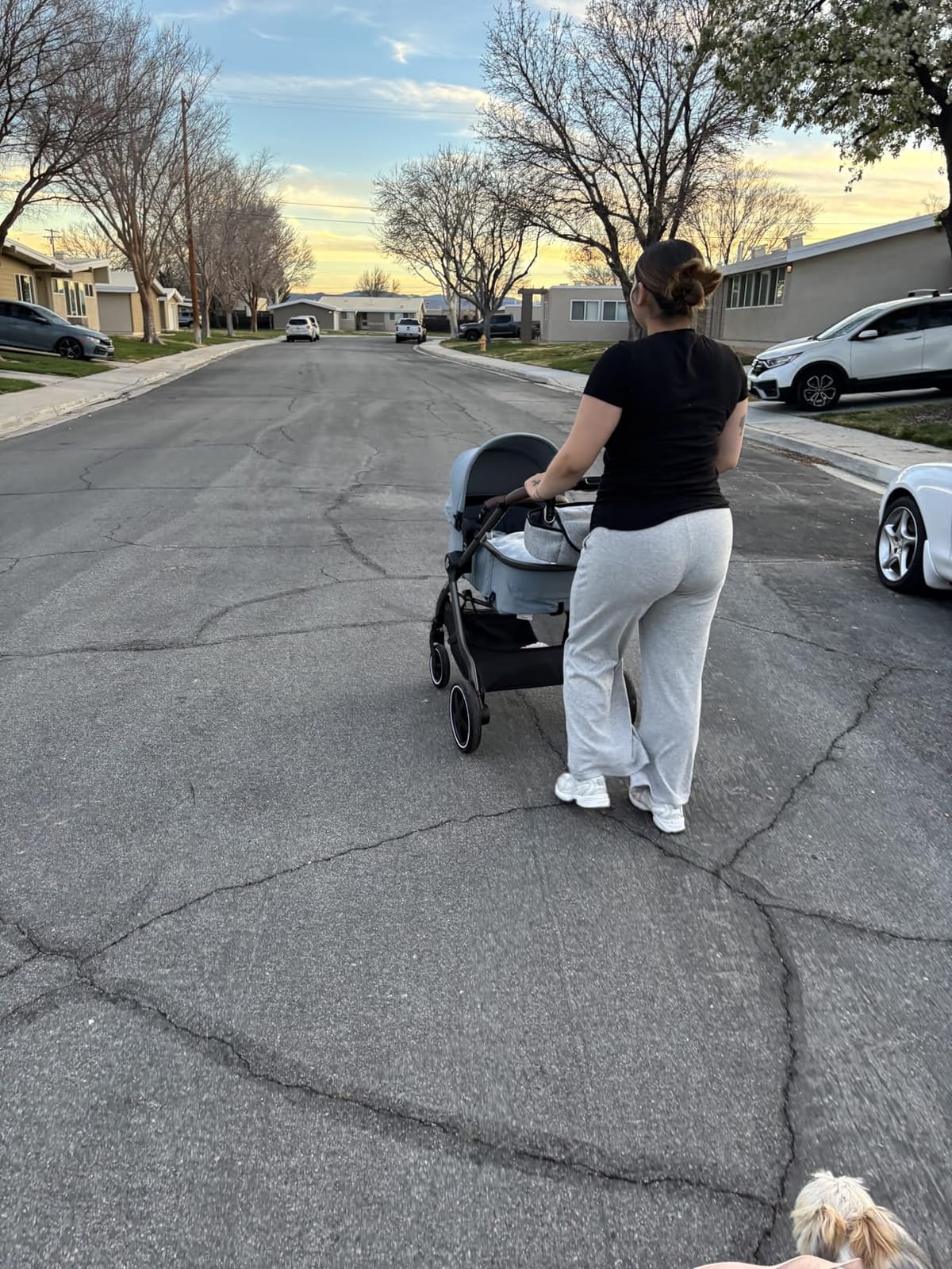 Maxi-Cosi Zelia 2 Luxe 5-in-1 Modular Travel System, New Hope Tan customer photo 2