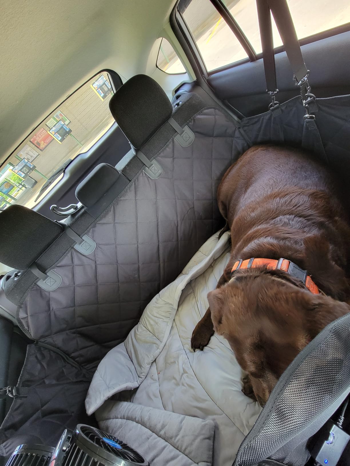 Back Seat Extender for Dogs-Large Space, Dog Car Seat Cover Hard Bottom Holds 420lbs, Sturdy Backseat Extender for Dogs,Upgraded Waterproof Pet Car Bed Dog Hammock for Car, SUV,Truck, Black customer photo 2