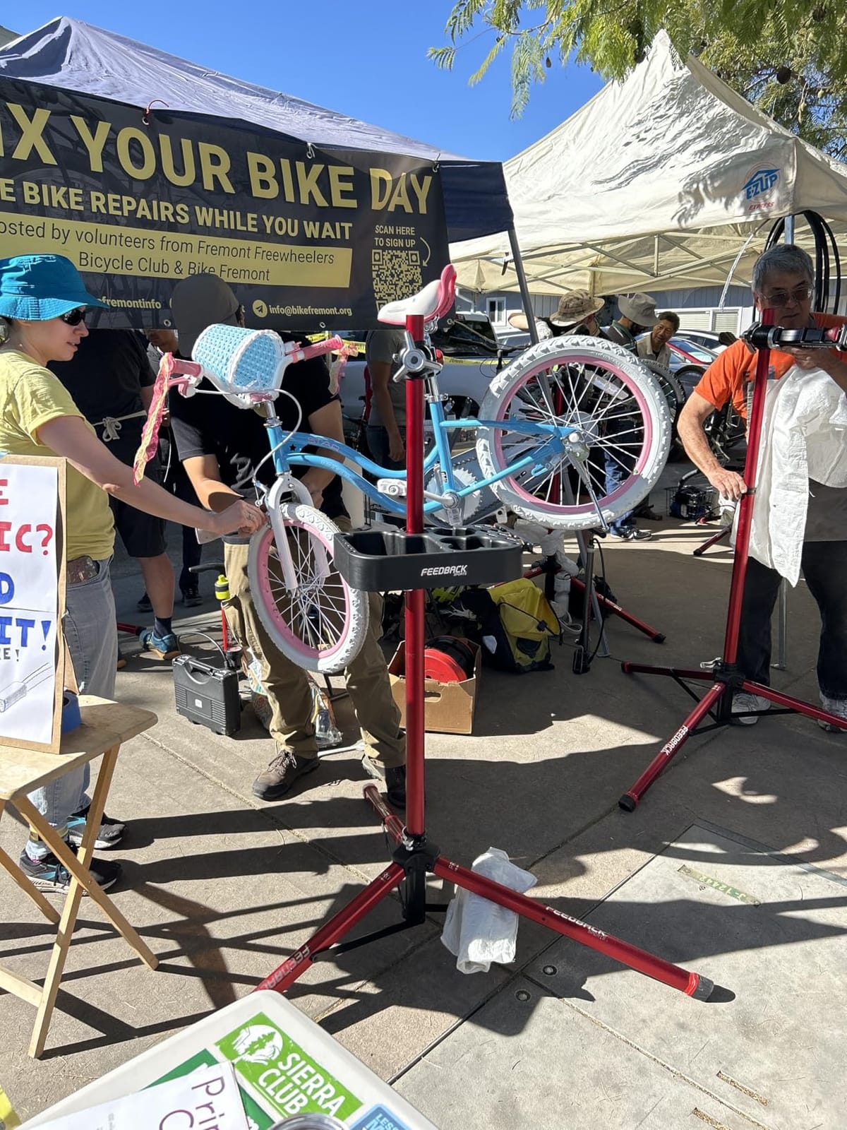 RoyalBaby Girls Bike Classic & EZ Kids Bike, Balance and Pedal Bicycle, 12 14 16 18 20 Inch Toddlers to Big Kids 3-10 Years customer photo 1