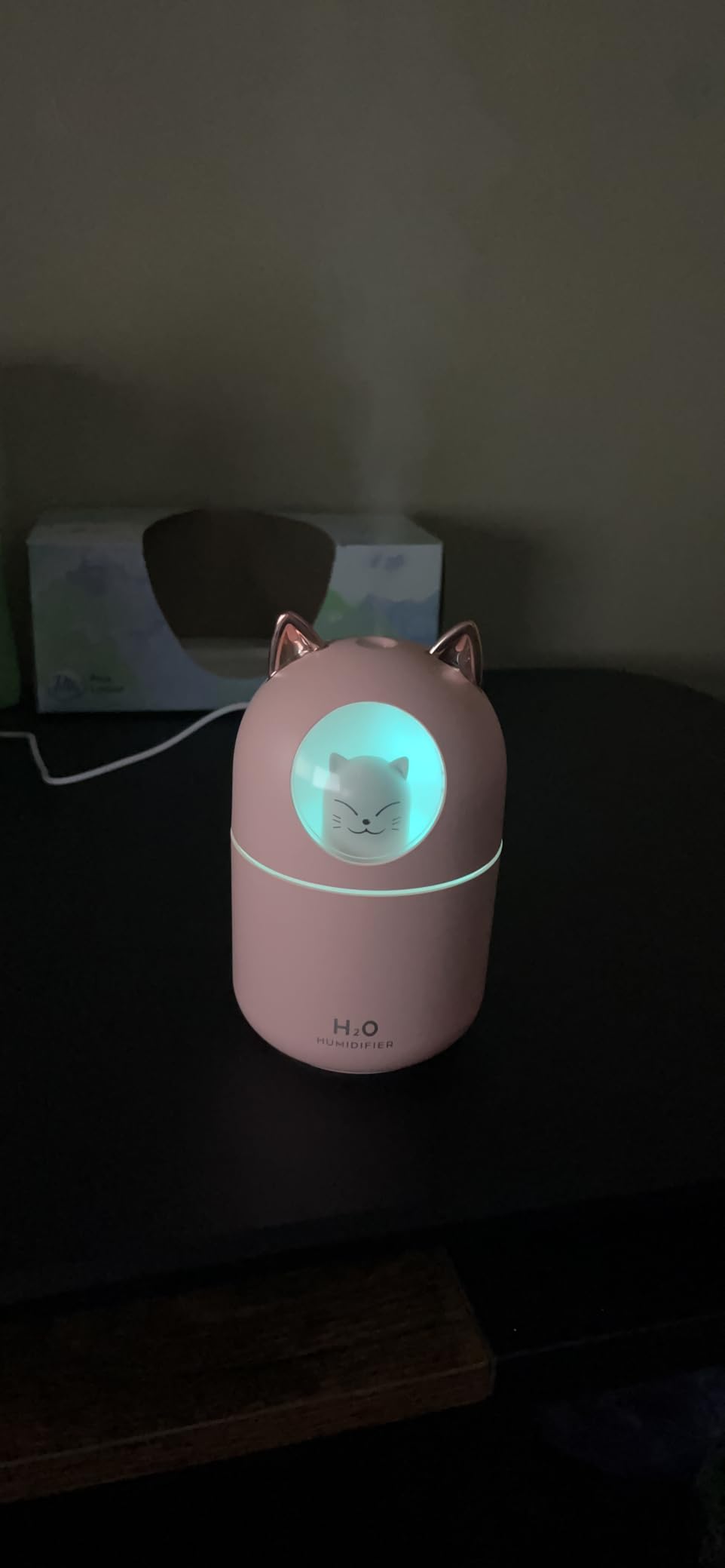 Small Humidifier Cute Portable Cool Mist Humidifier 300ML 7 Color Night Light USB Air Humidifier for Bedroom Office Desk Car Plants Travel (White) customer photo 1