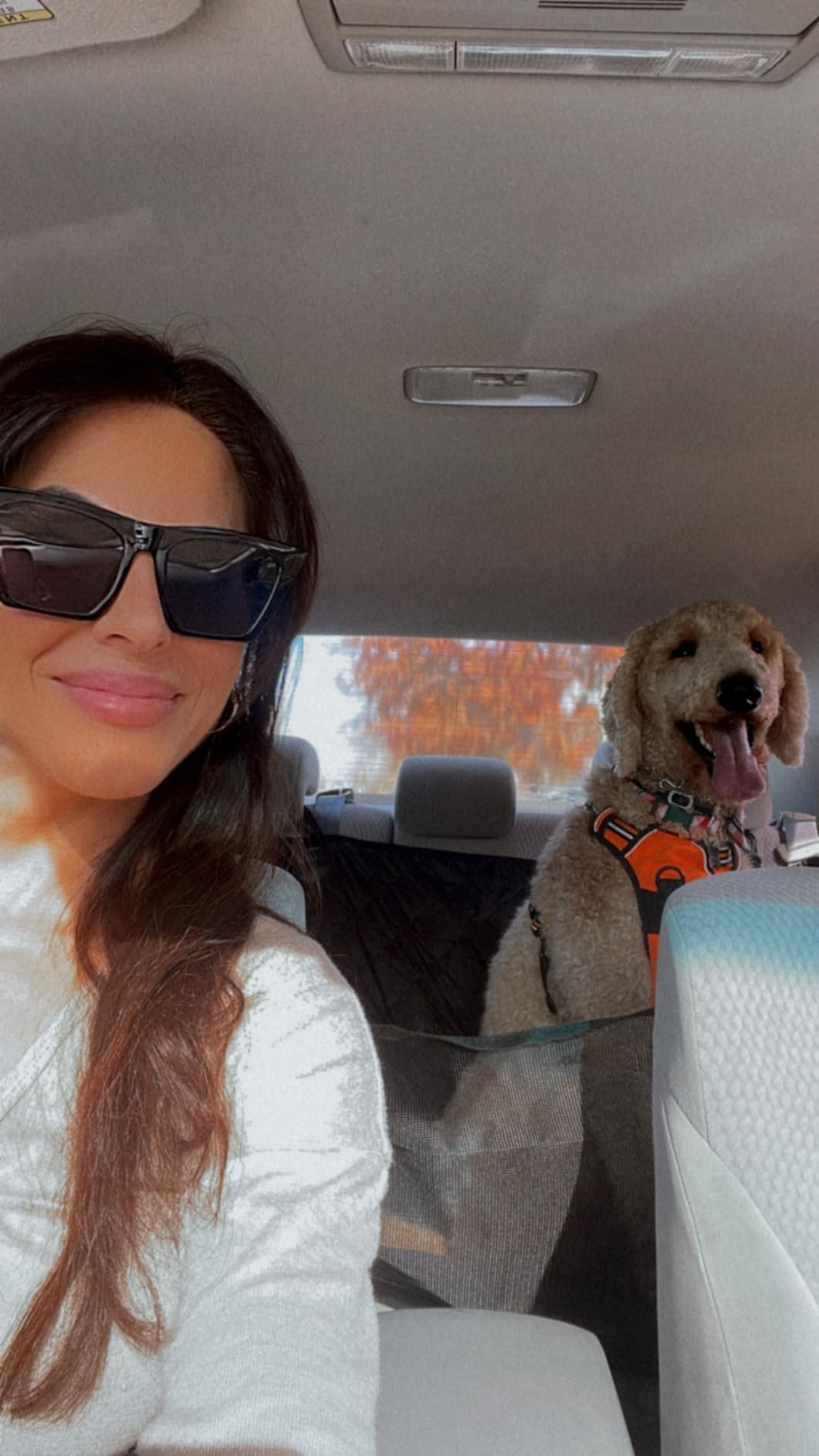 Waterproof Hard Bottom Car Seat Cover for Dogs with 2 Dog Seat Belts customer photo 2