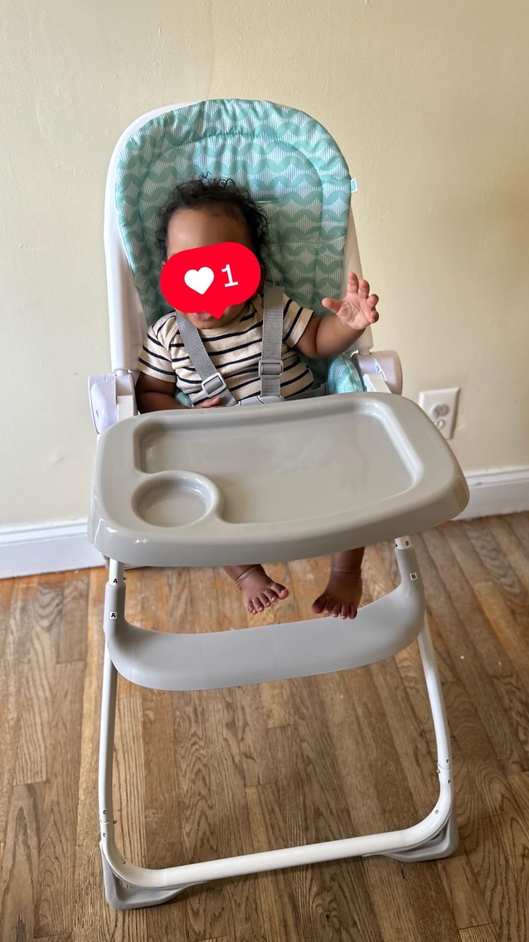 Ingenuity: ity by Ingenuity Sun Valley Compact Folding High Chair, Food-Grade Safe Plate, Safety Harness, for Ages 6 Months and Up, Unisex - Grey customer photo 1