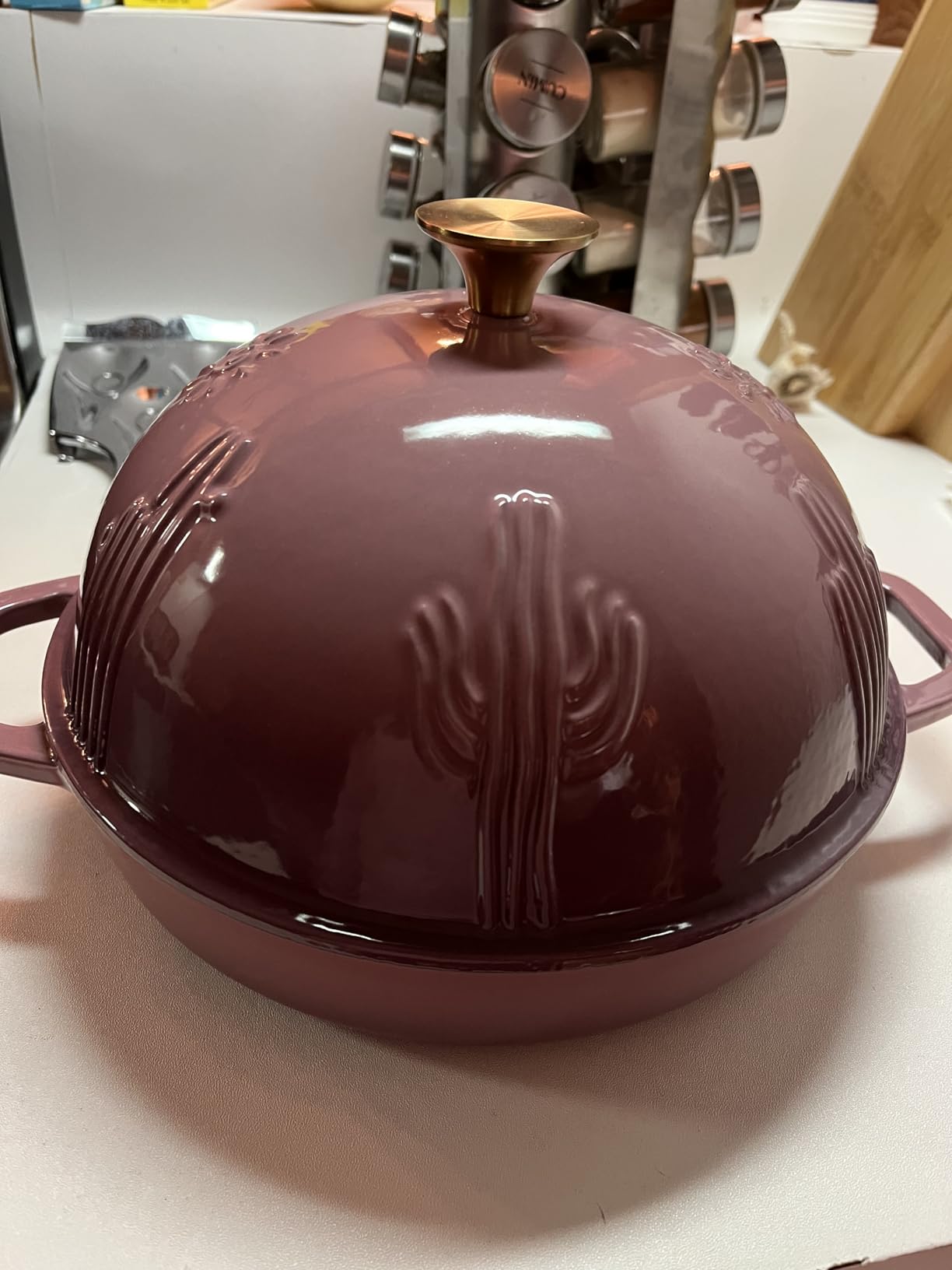 Flavehc Bread Oven Cast Iron Bread Dutch Oven with Cloche Lid for Bread Baking Darkcyan Enameled Cast Iron Bread Oven with Dome Lid for Sourdough, 9.8 Inches customer photo 2