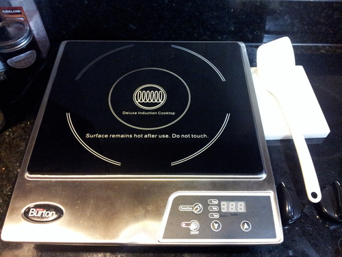 Empava Flex Induction Cooktop 2 Burner, Horz. Countertop/Drop-in, Plug in customer photo 1