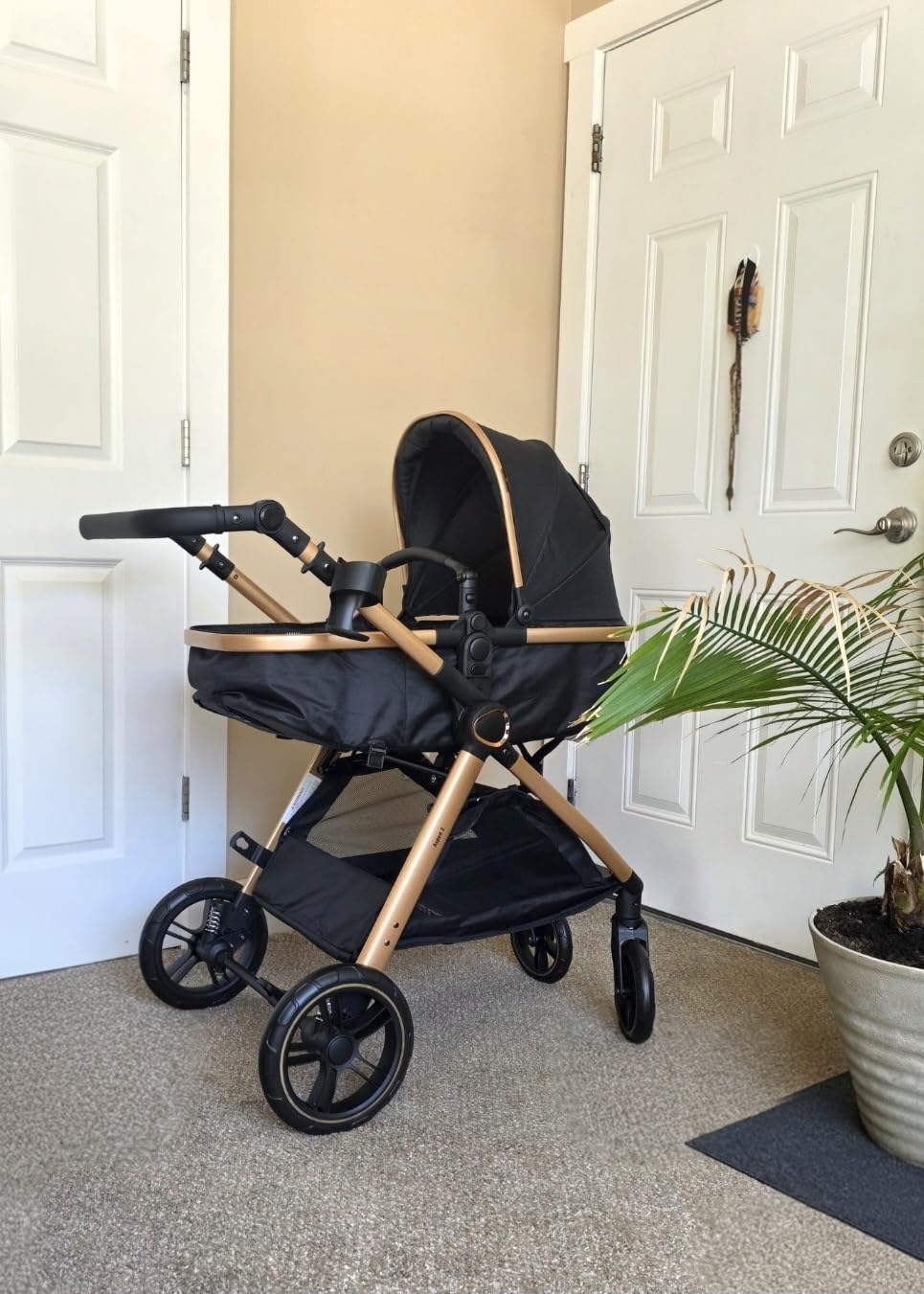 Accombe 2-in-1 Convertible Baby Stroller for Newborn to Toddler customer photo 2