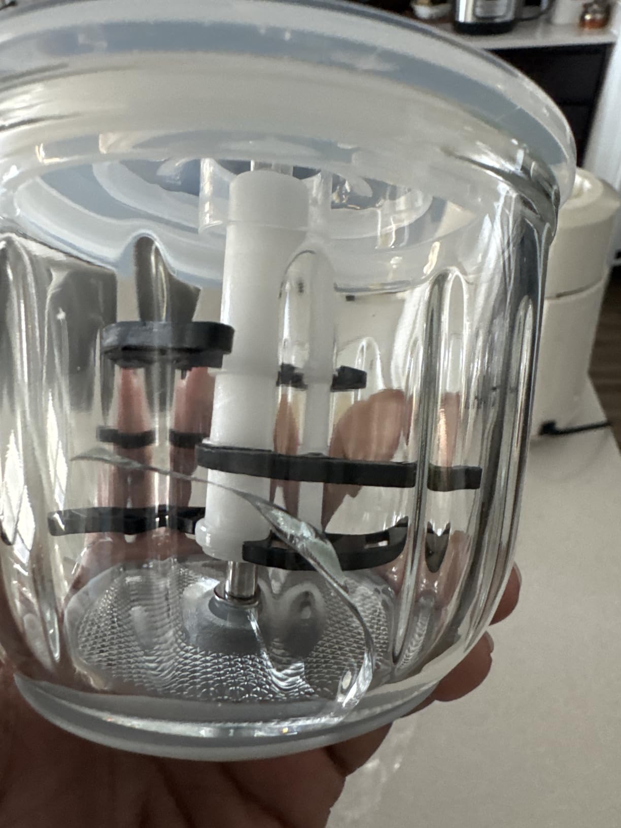 Baby Food Maker - Processor & Blender for Fresh Meals, Fruits, Veggies, Meat & Puree (White) customer photo 2
