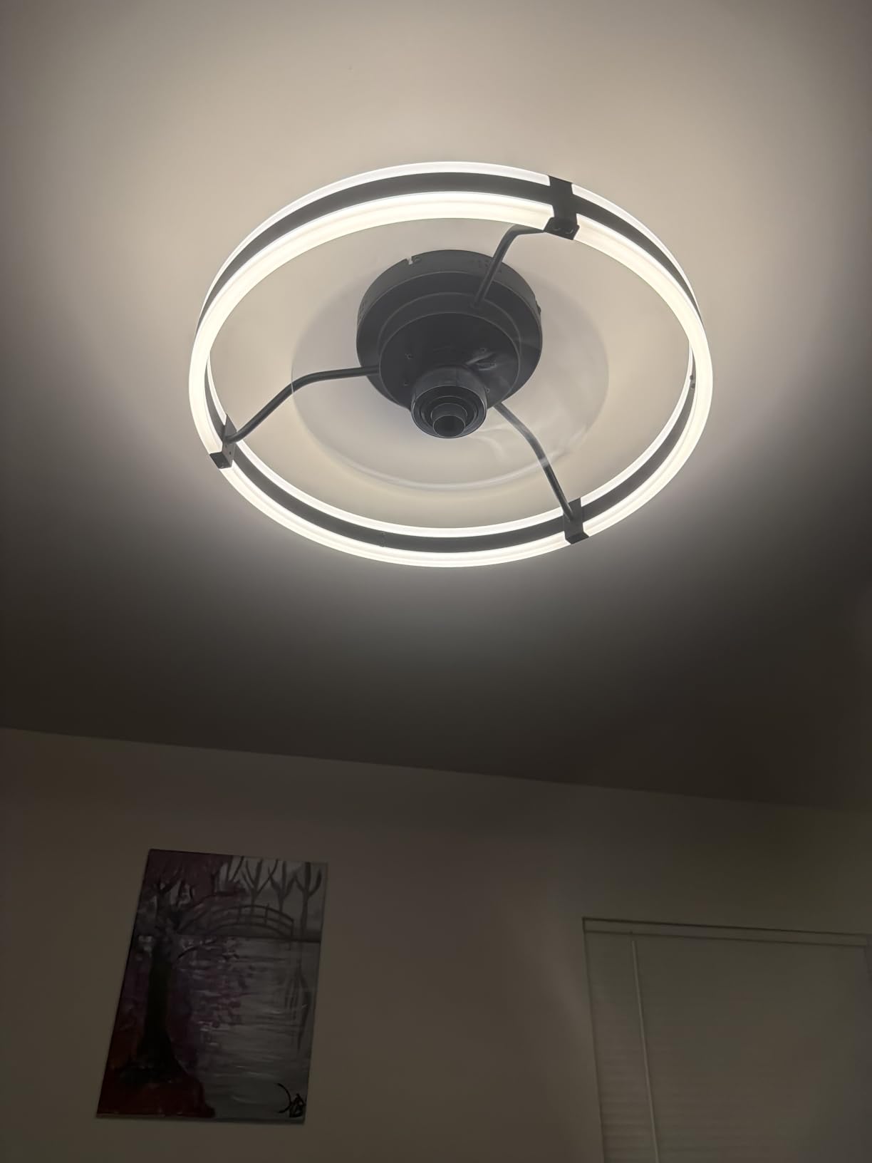 ZMISHIBO Low Profile 19.7'' Ceiling Fans with Lights and Remote, Black customer photo 2