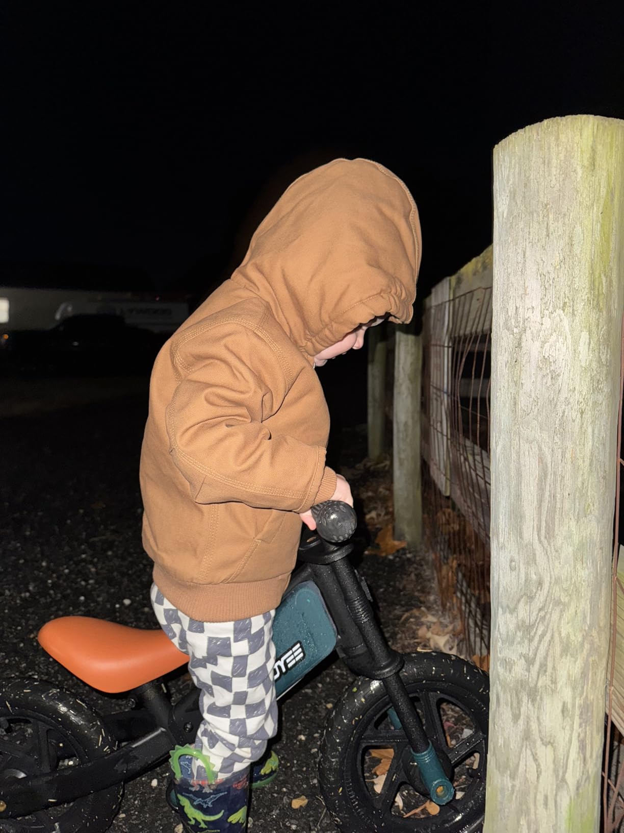 RIDYEE Toddler Balance Bike 2 Year Old, Kids Balance Bike Ages 2-5 customer photo 2