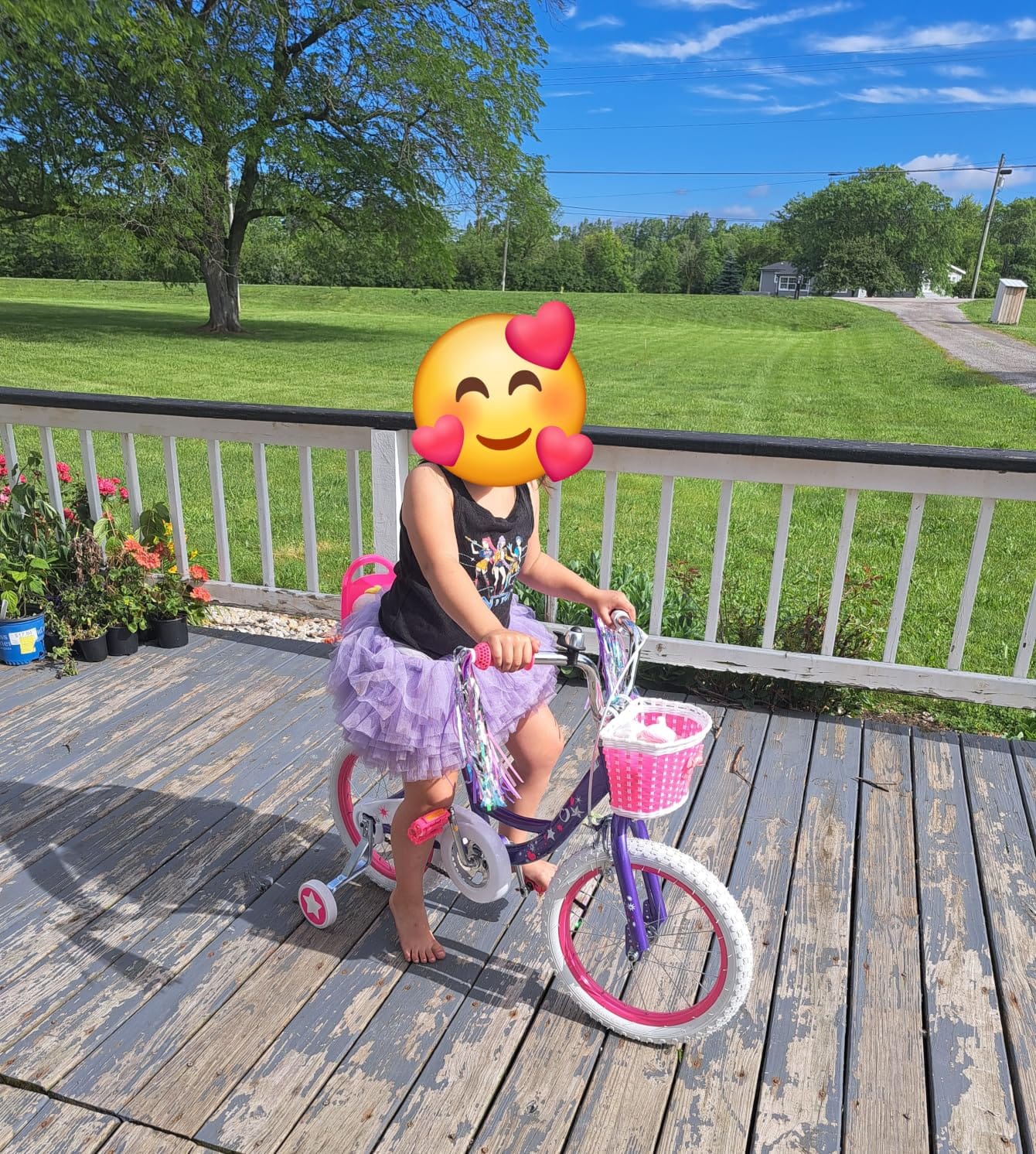 WEIZE Girls Kids Bike 14 16 18 Inch Children Bicycles with Training Wheels customer photo 1