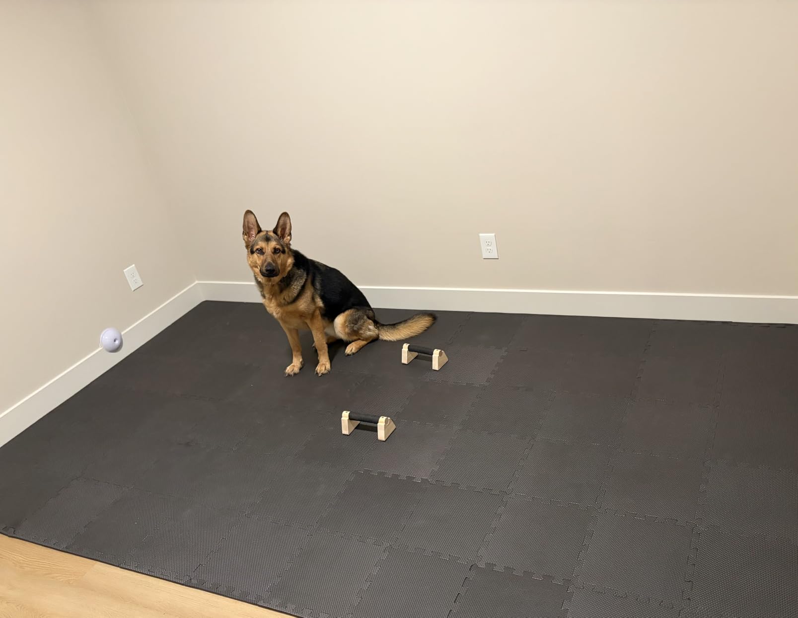 bemaxx Gym Mats Set - EVA Interlocking Foam Floor Tiles Workout Mat Puzzle customer photo 1