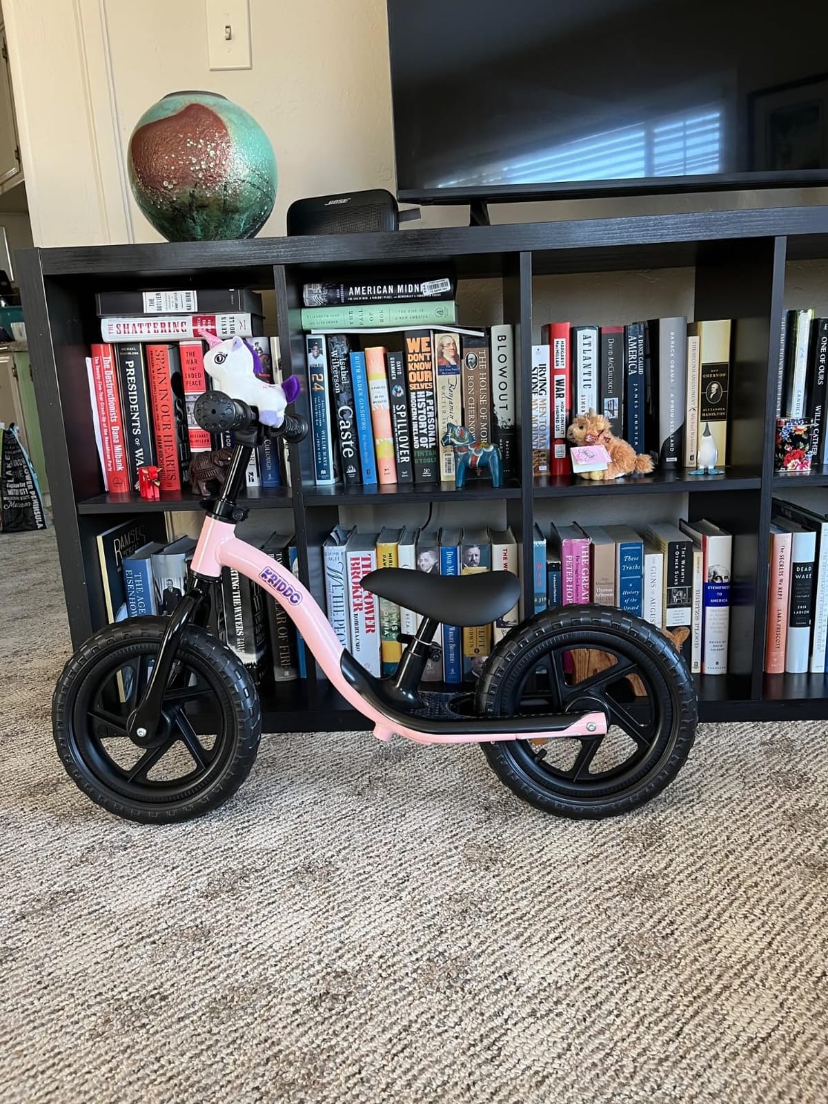 KRIDDO Toddler Balance Bike 2 Year Old, Kids Balance Bike for 2-5 Years Old customer photo 1